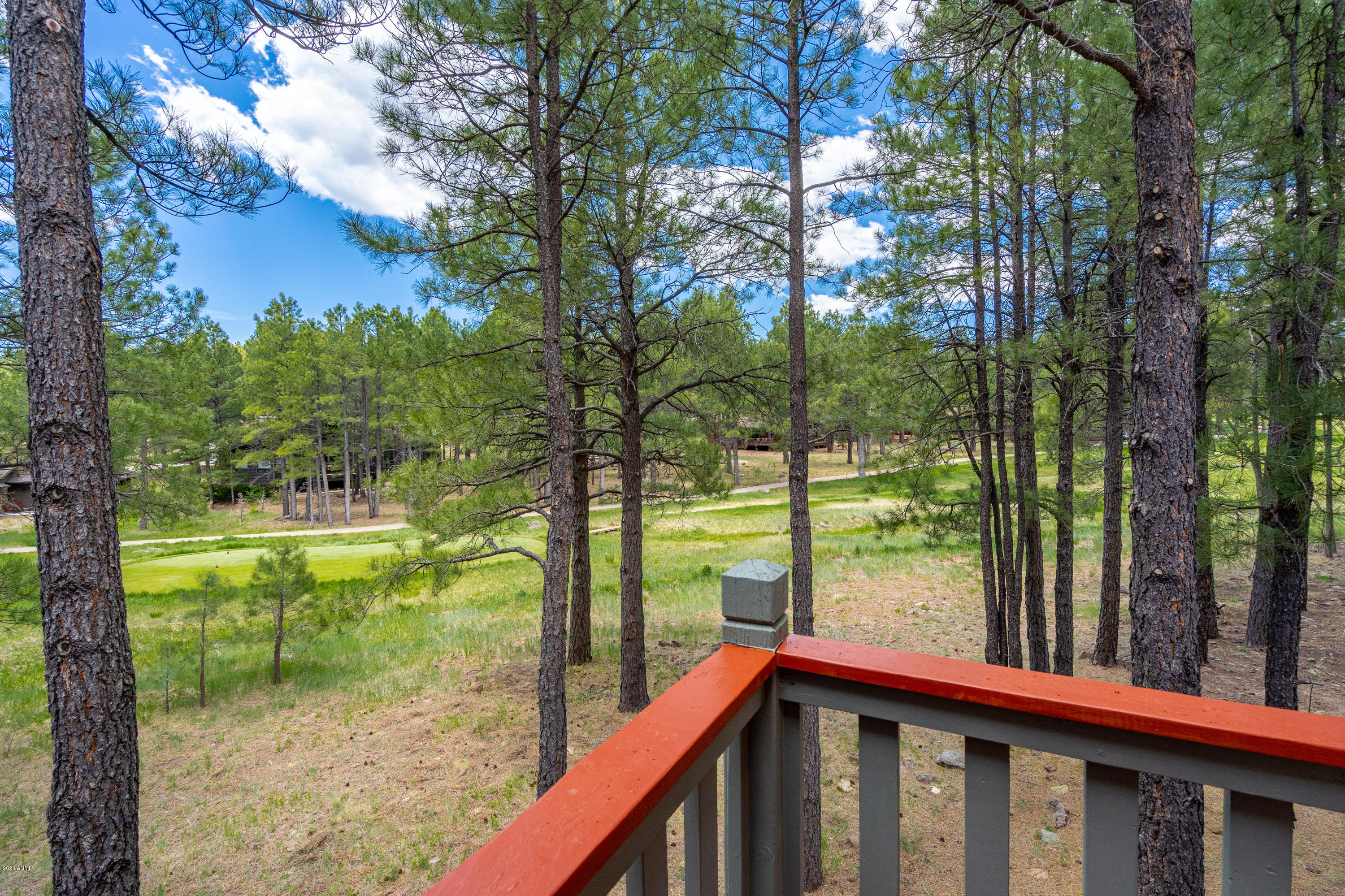 6000 Griffiths Spring Flagstaff, AZ 86005 - Photo 38 of 90 BCP-21