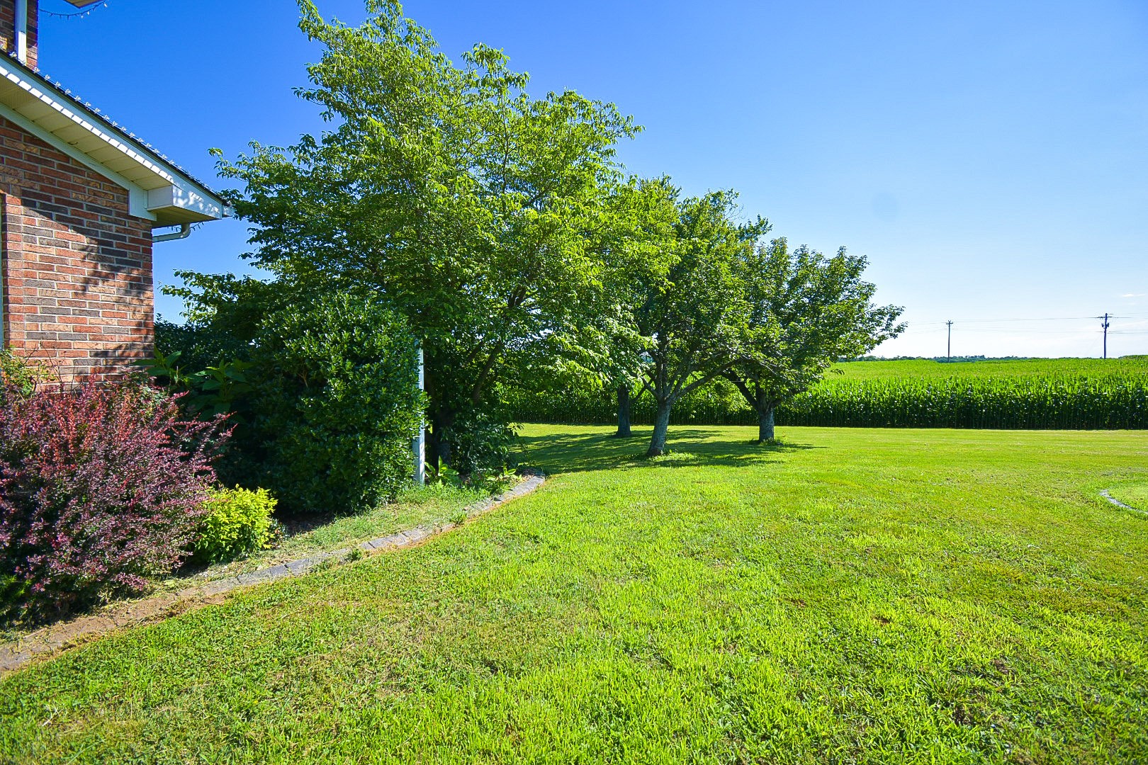 10814 Clarksville Road Olmstead, KY 42265 - Photo 46 of 55 a view of a house with a yard