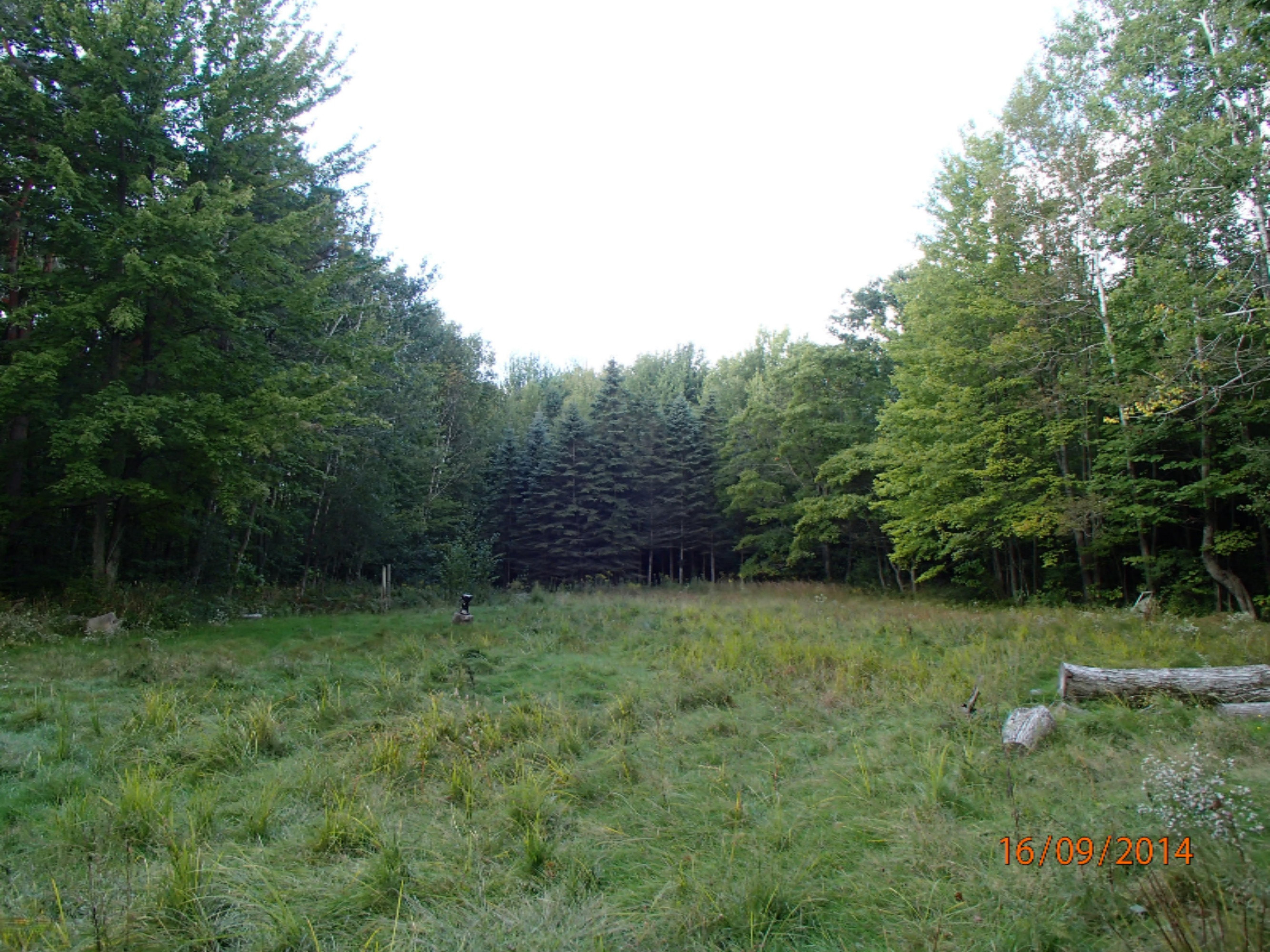 4861 Anderson Road Muskegon, MI 49445 - Photo 27 of 31 4861 Anderson Rd 013