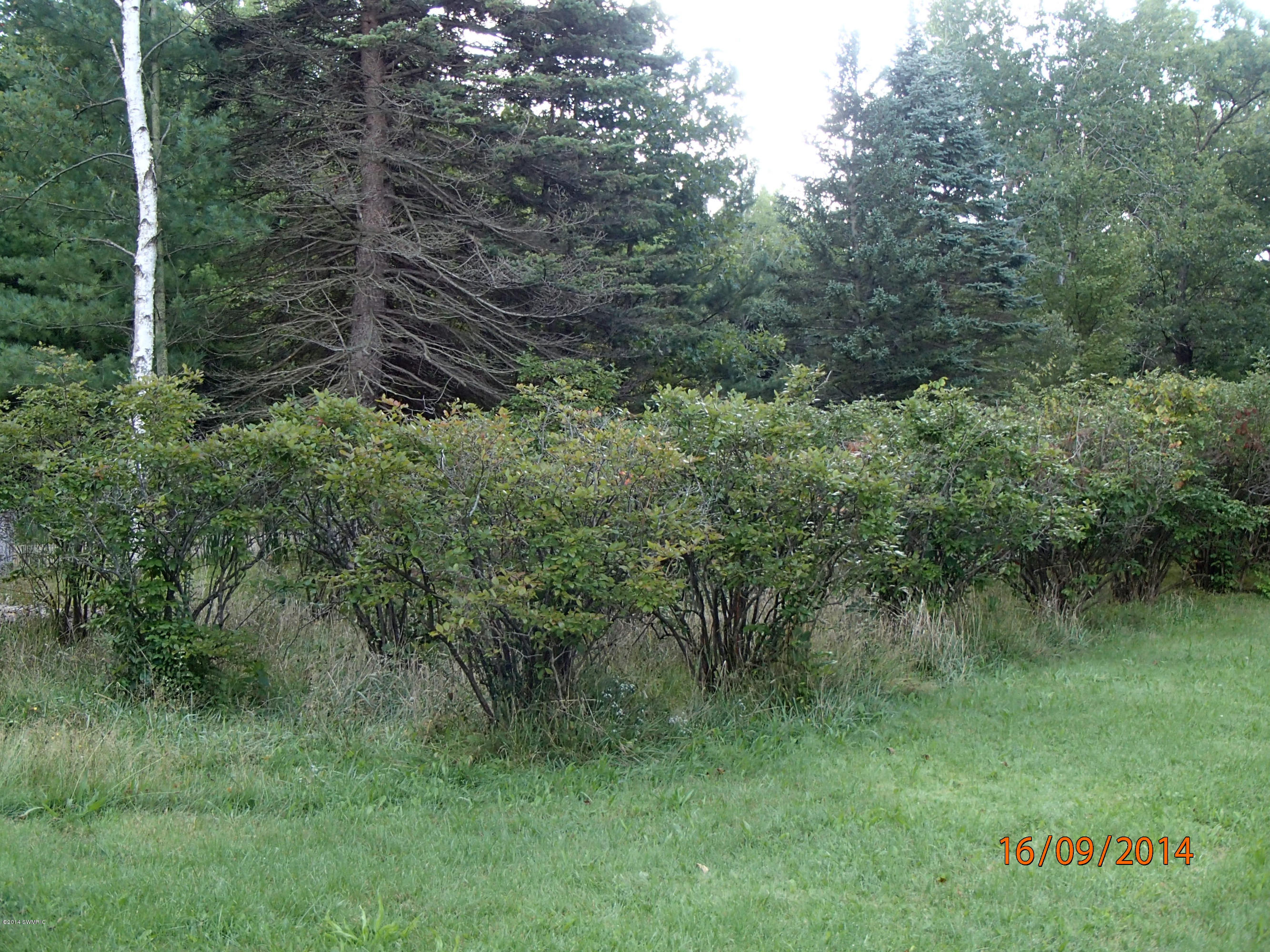 4861 Anderson Road Muskegon, MI 49445 - Photo 29 of 31 4861 Anderson Rd 006