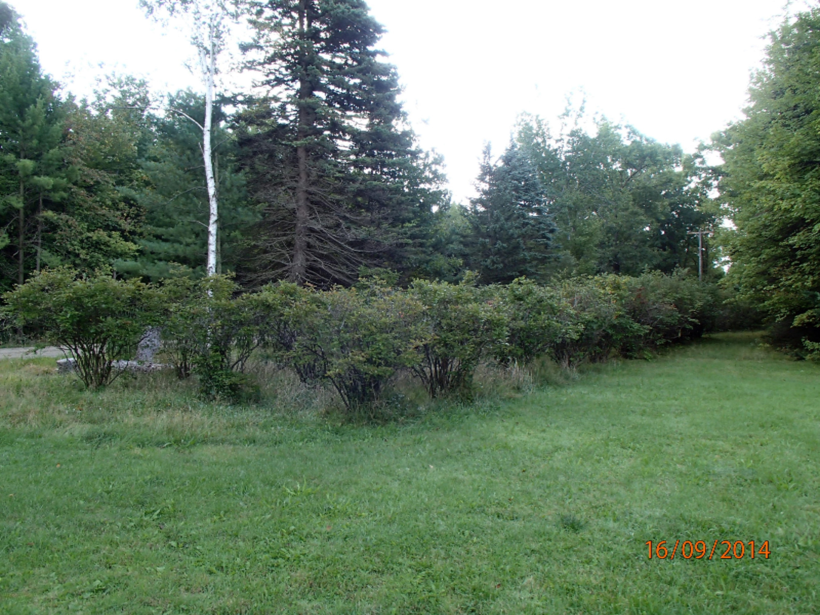 4861 Anderson Road Muskegon, MI 49445 - Photo 30 of 31 4861 Anderson Rd 005