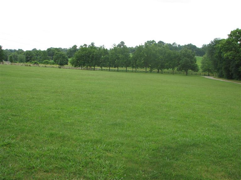 260 Redmon Road Paris, KY 40361 - Photo 19 of 20 Photo 19