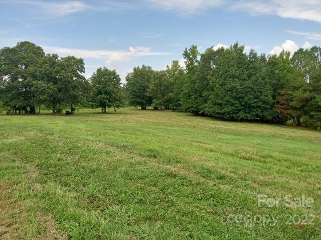 671 Jess Lamb Road Rutherfordton, NC 28139 - Photo 28 of 31 a view of field with trees in the background