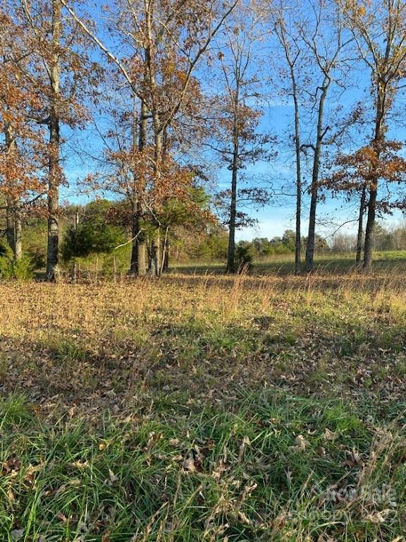 671 Jess Lamb Road Rutherfordton, NC 28139 - Photo 4 of 31 a view of a yard with trees