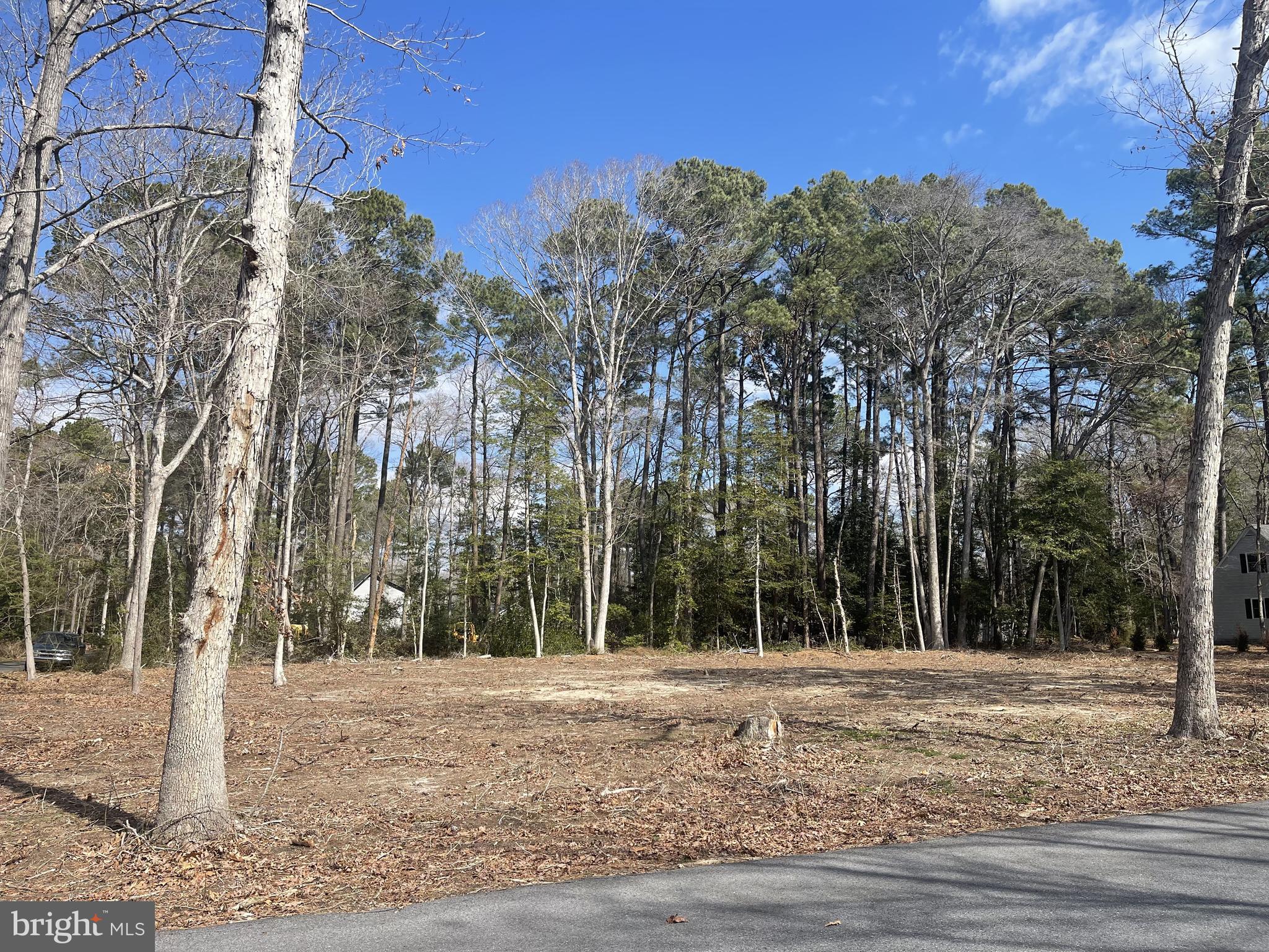 Corner Of Pine Grove Laurel, DE 19956 - Photo 2 of 3 a view of a yard with trees in the background