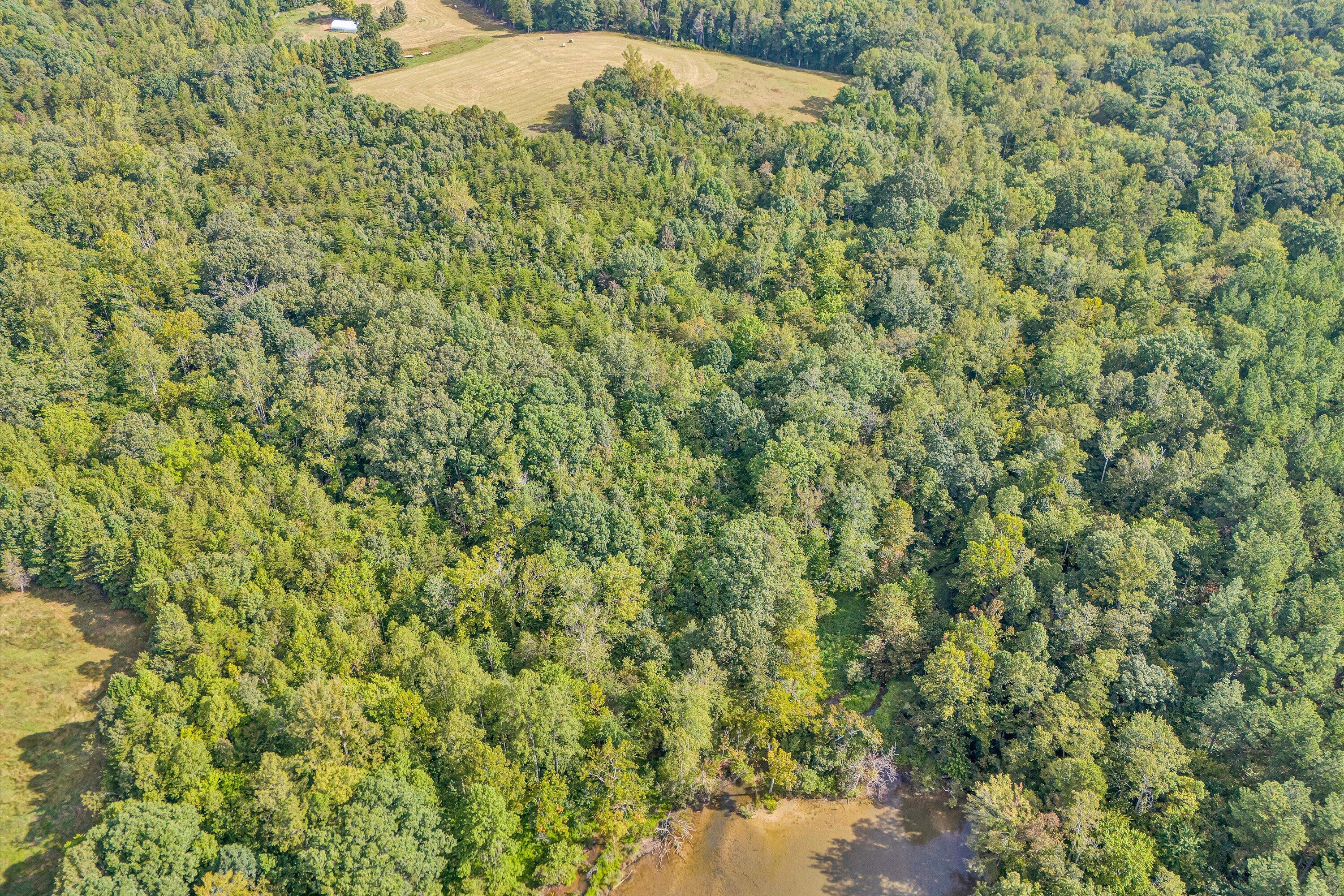 3 Pine Ridge Road Huddleston, VA 24104 - Photo 10 of 21 Pine Ridge Road (13)
