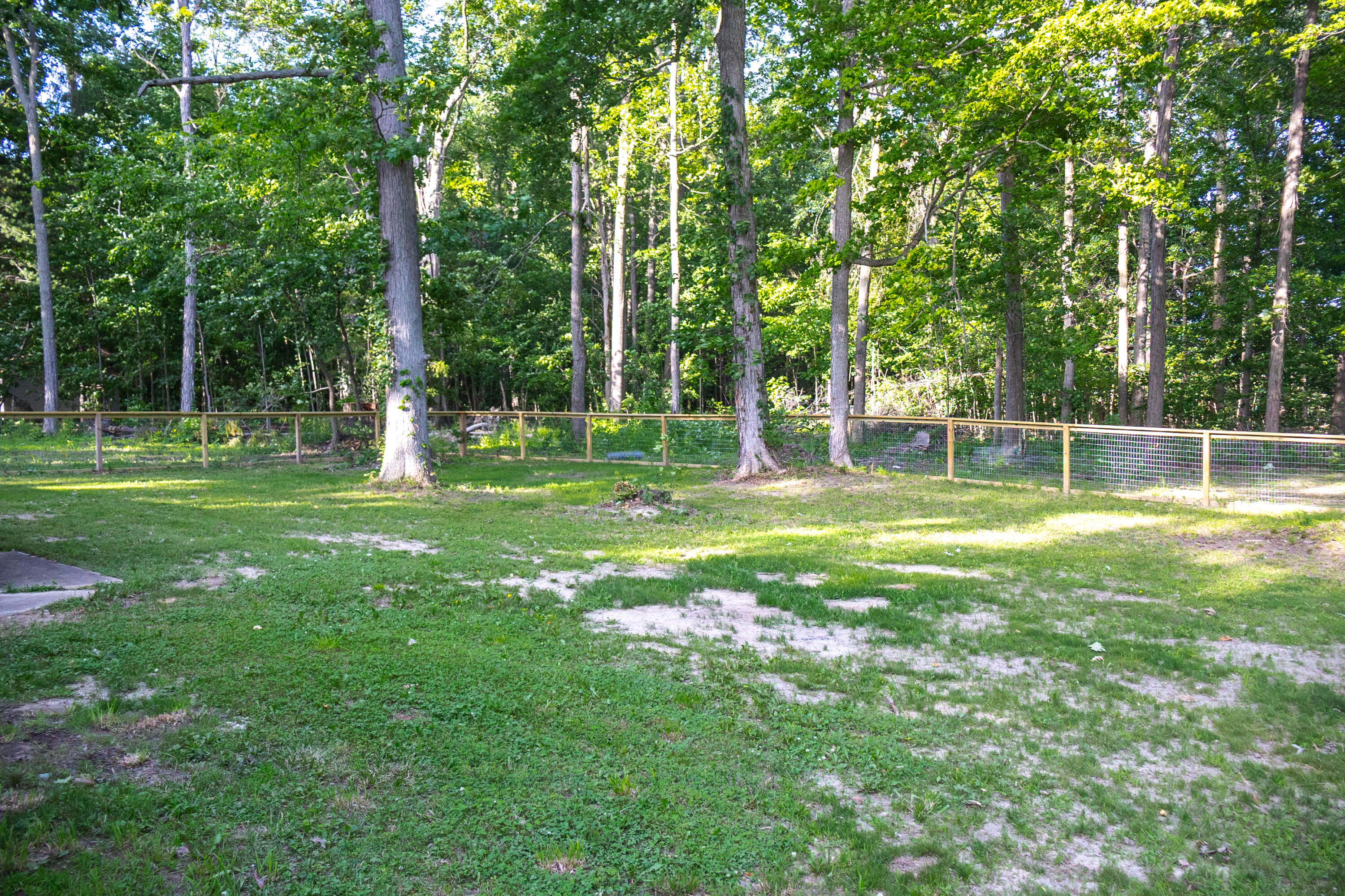 12449 California Road Sawyer, MI 49125 - Photo 38 of 52 fenced in yard