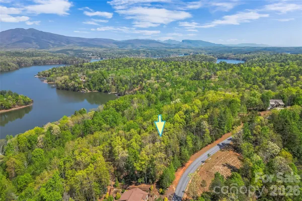 a view of a lake with a mountain
