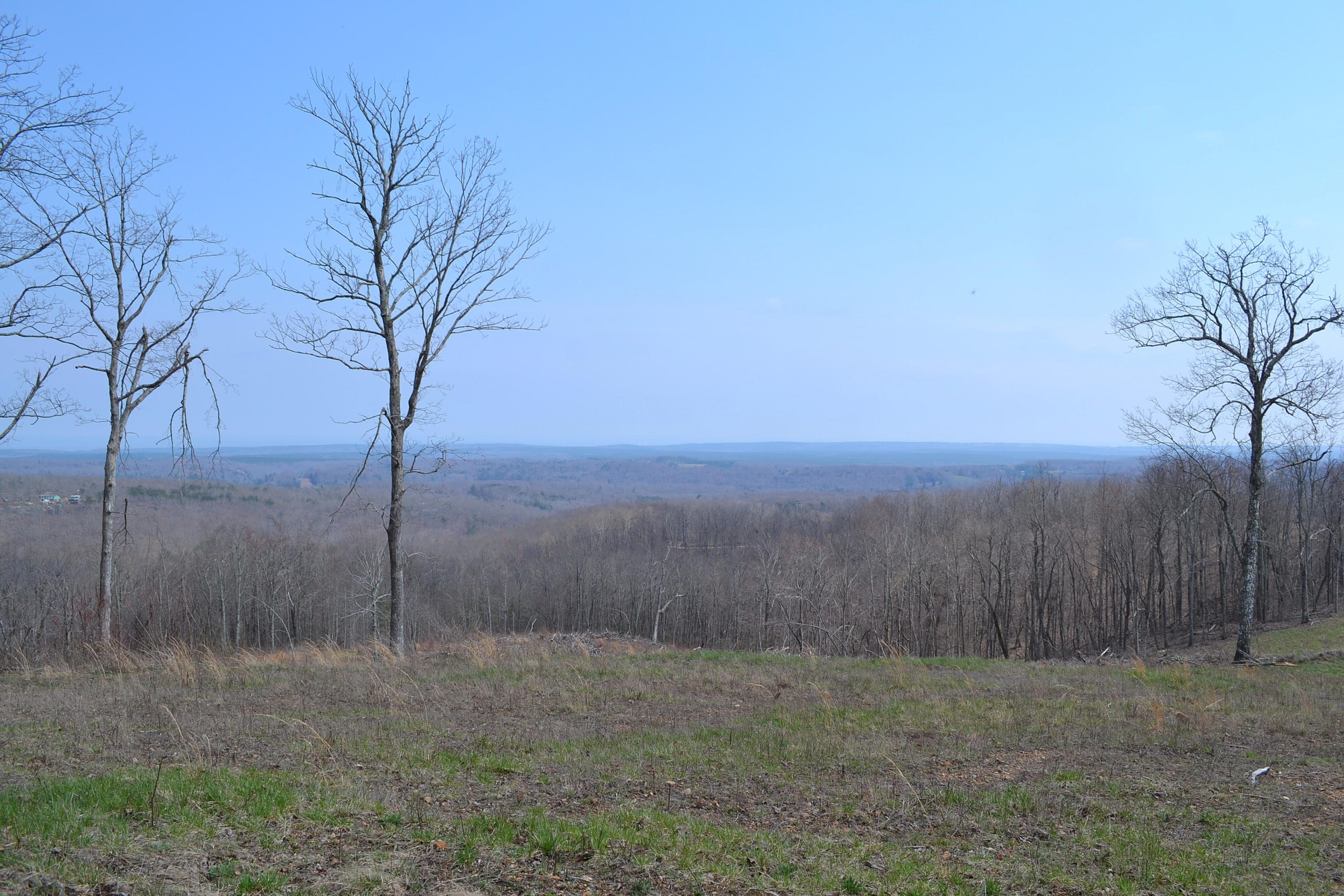 7.4-ac 7.4-ac Briley Road Spring City, TN 37381 - Photo 1 of 7 DSC_0070