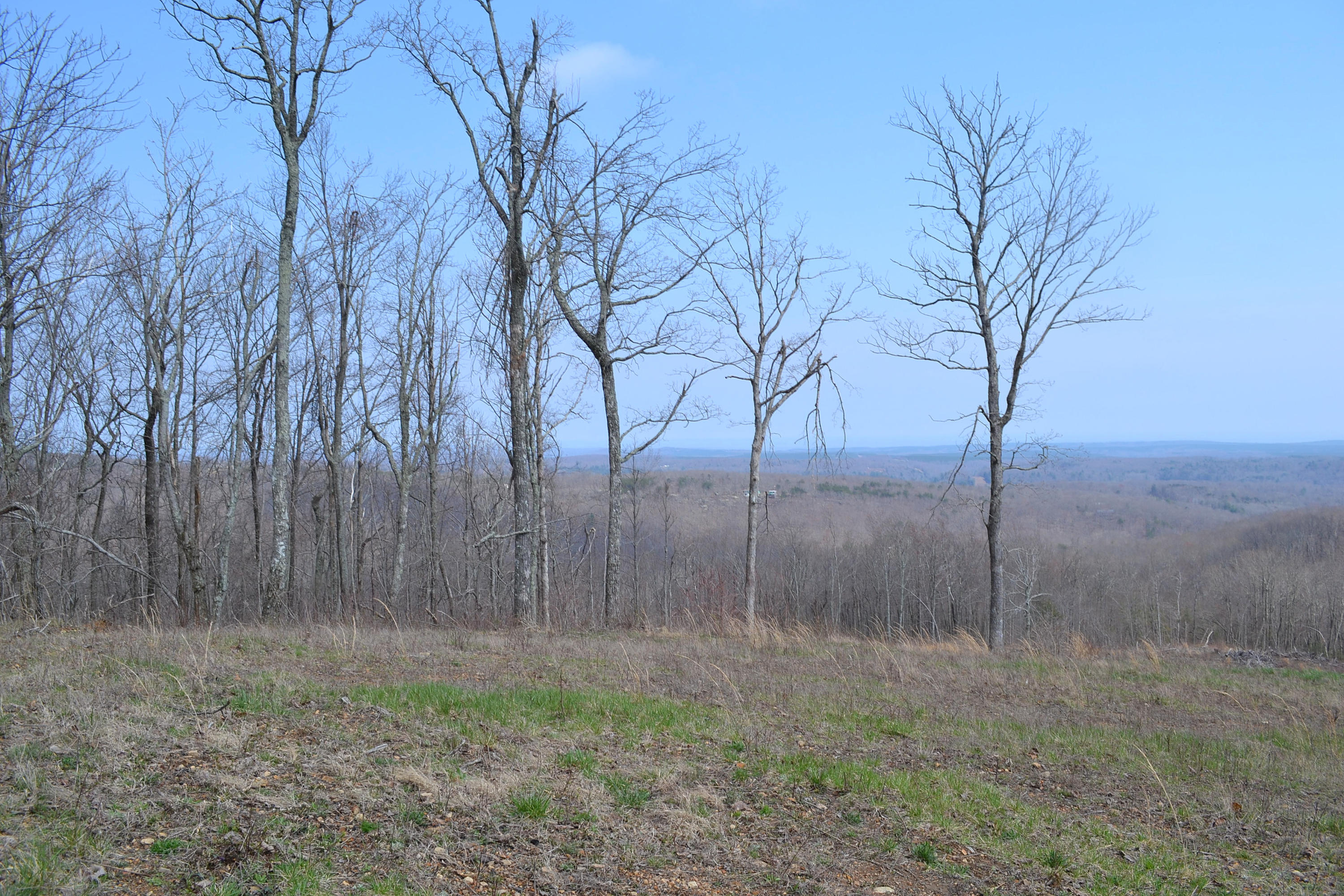7.4-ac 7.4-ac Briley Road Spring City, TN 37381 - Photo 3 of 7 DSC_0072