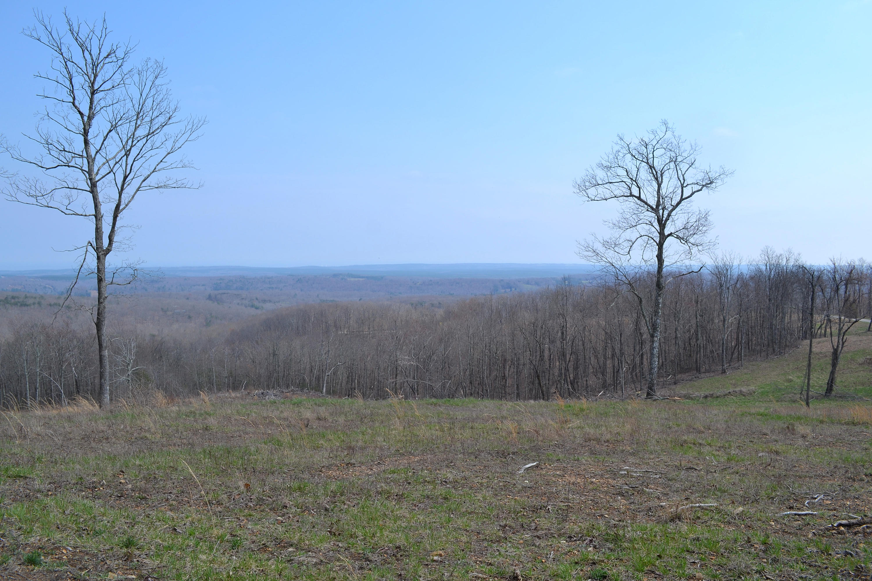 7.4-ac 7.4-ac Briley Road Spring City, TN 37381 - Photo 5 of 7 DSC_0074