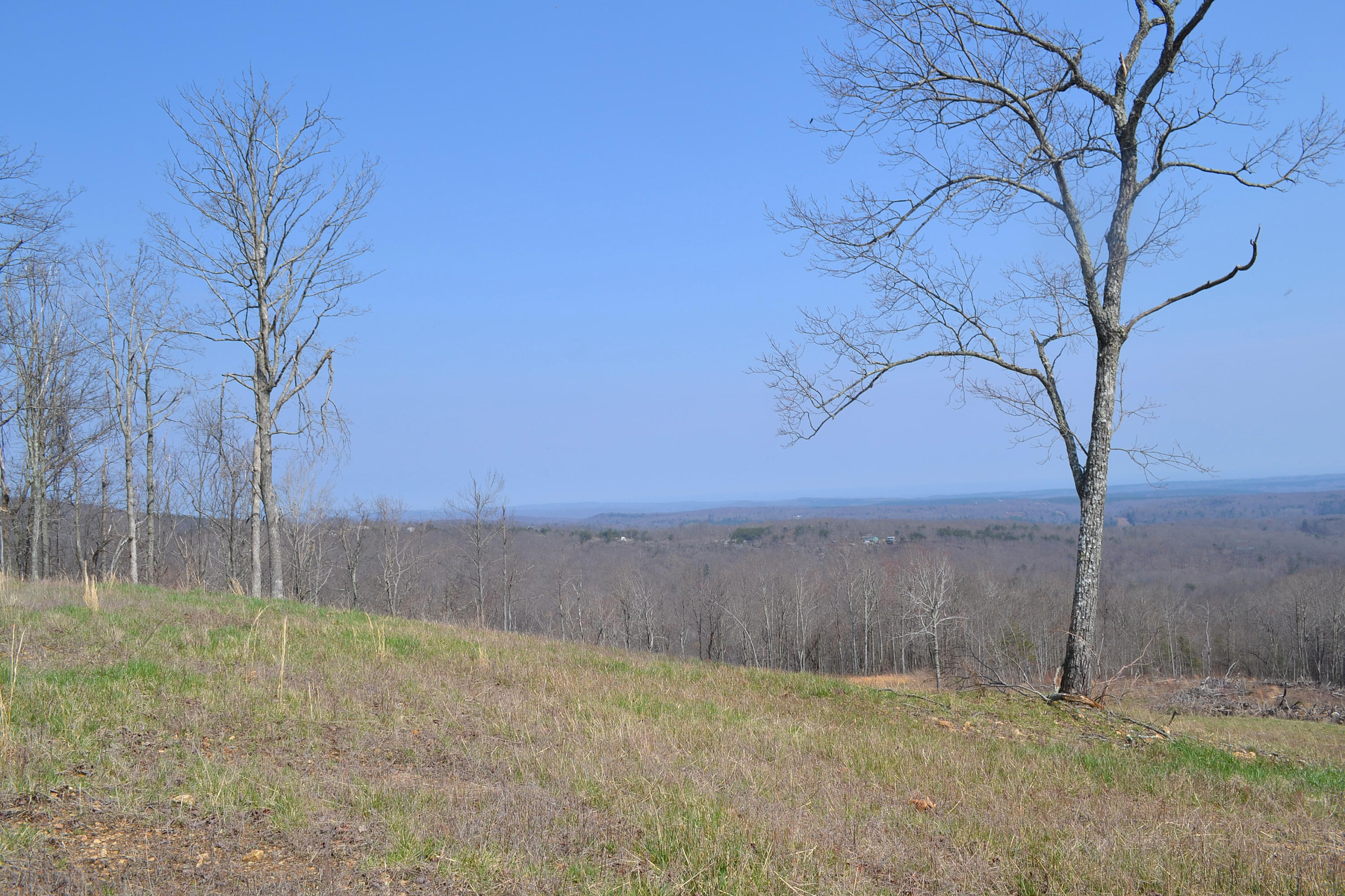7.4-ac 7.4-ac Briley Road Spring City, TN 37381 - Photo 7 of 7 DSC_0076