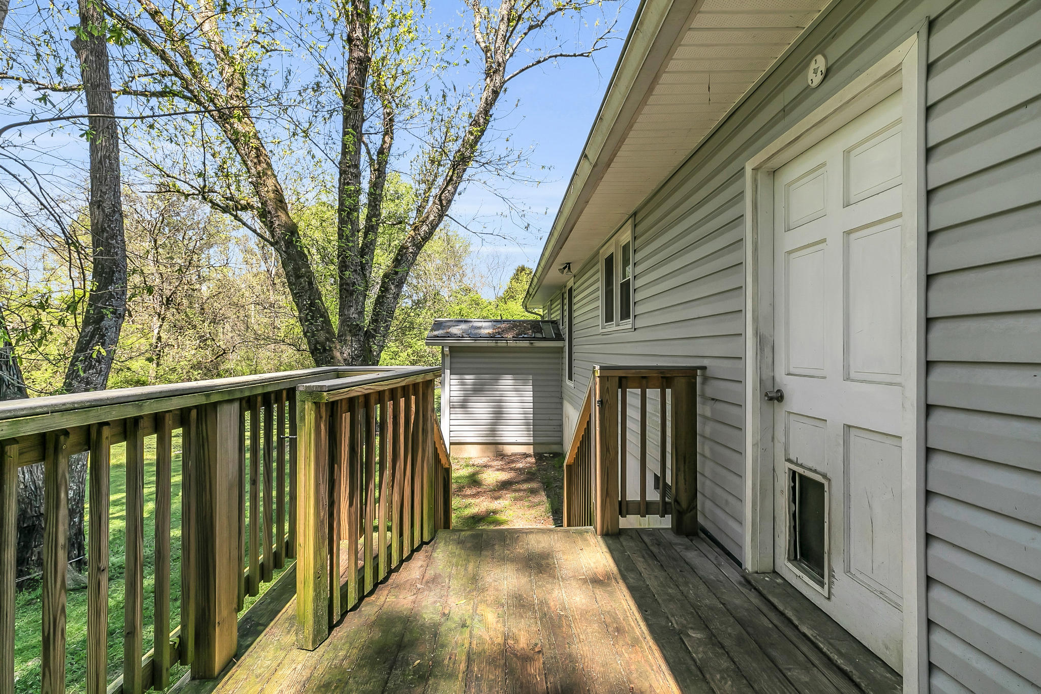 37 Mohawk Trail Ringgold, GA 30736 - Photo 10 of 23 849A2819