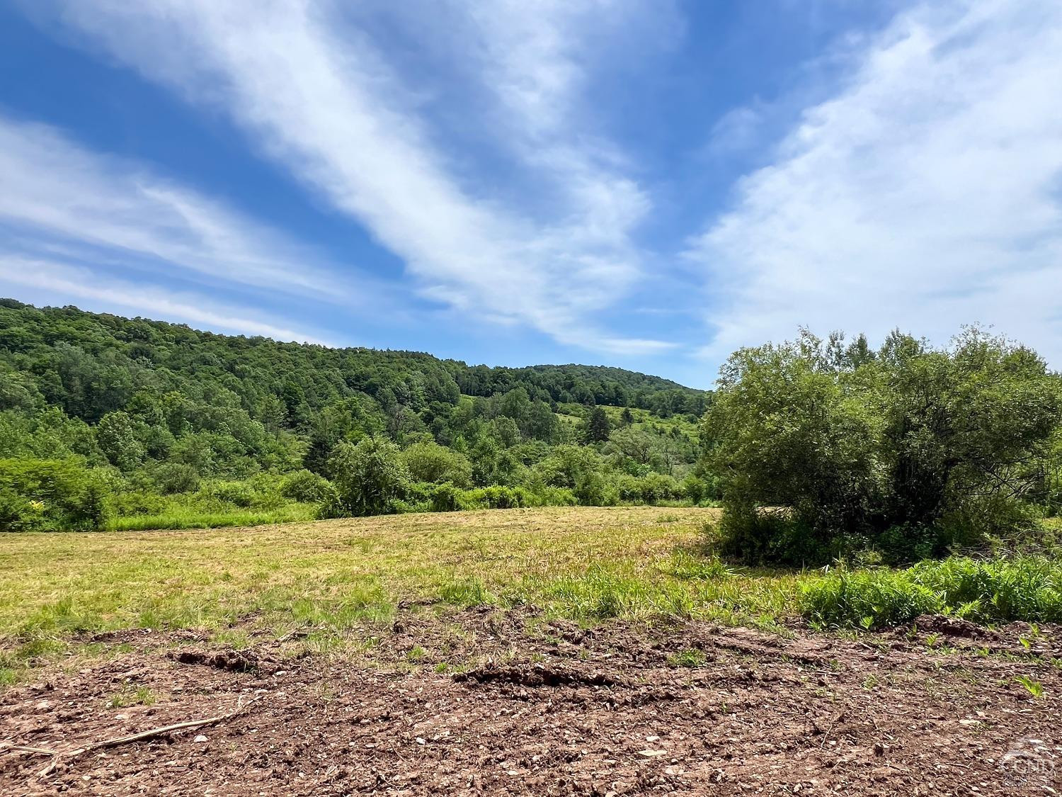0 Woodland Hills Road Andes, NY 13731 - Photo 12 of 71 a view of a field with an ocean