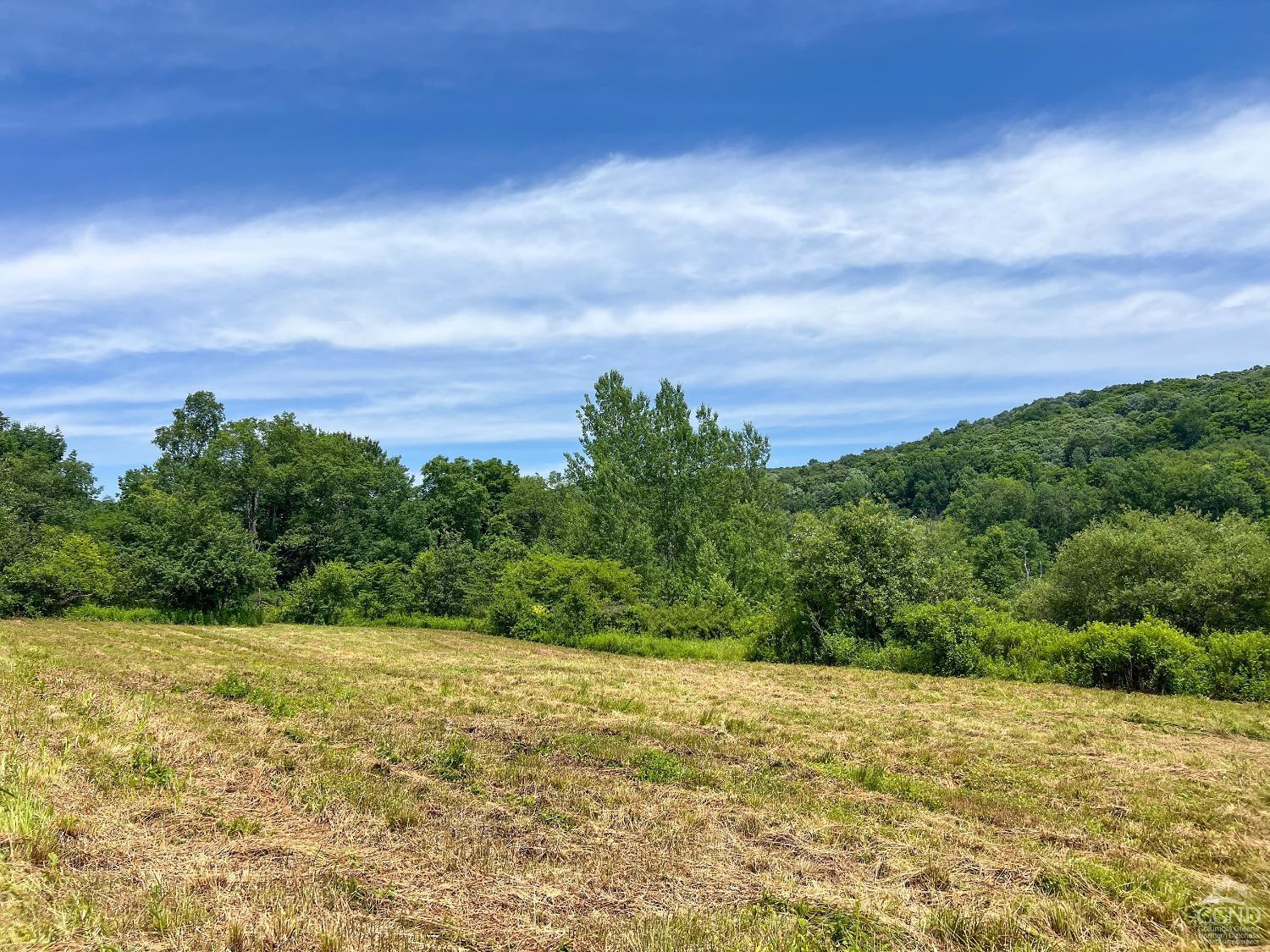 0 Woodland Hills Road Andes, NY 13731 - Photo 13 of 71 Photo 13