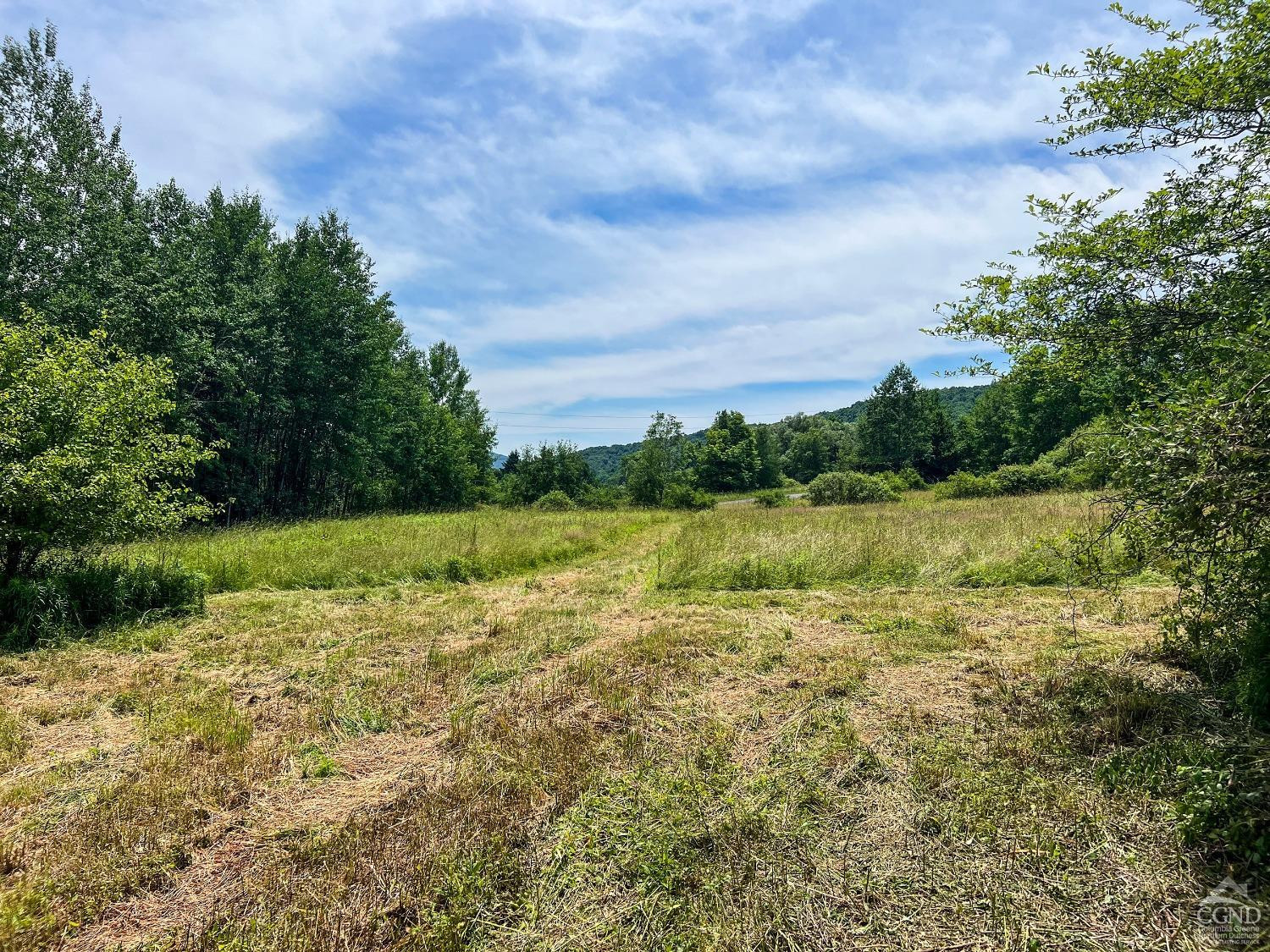 0 Woodland Hills Road Andes, NY 13731 - Photo 14 of 71 a view of a lake with a big yard