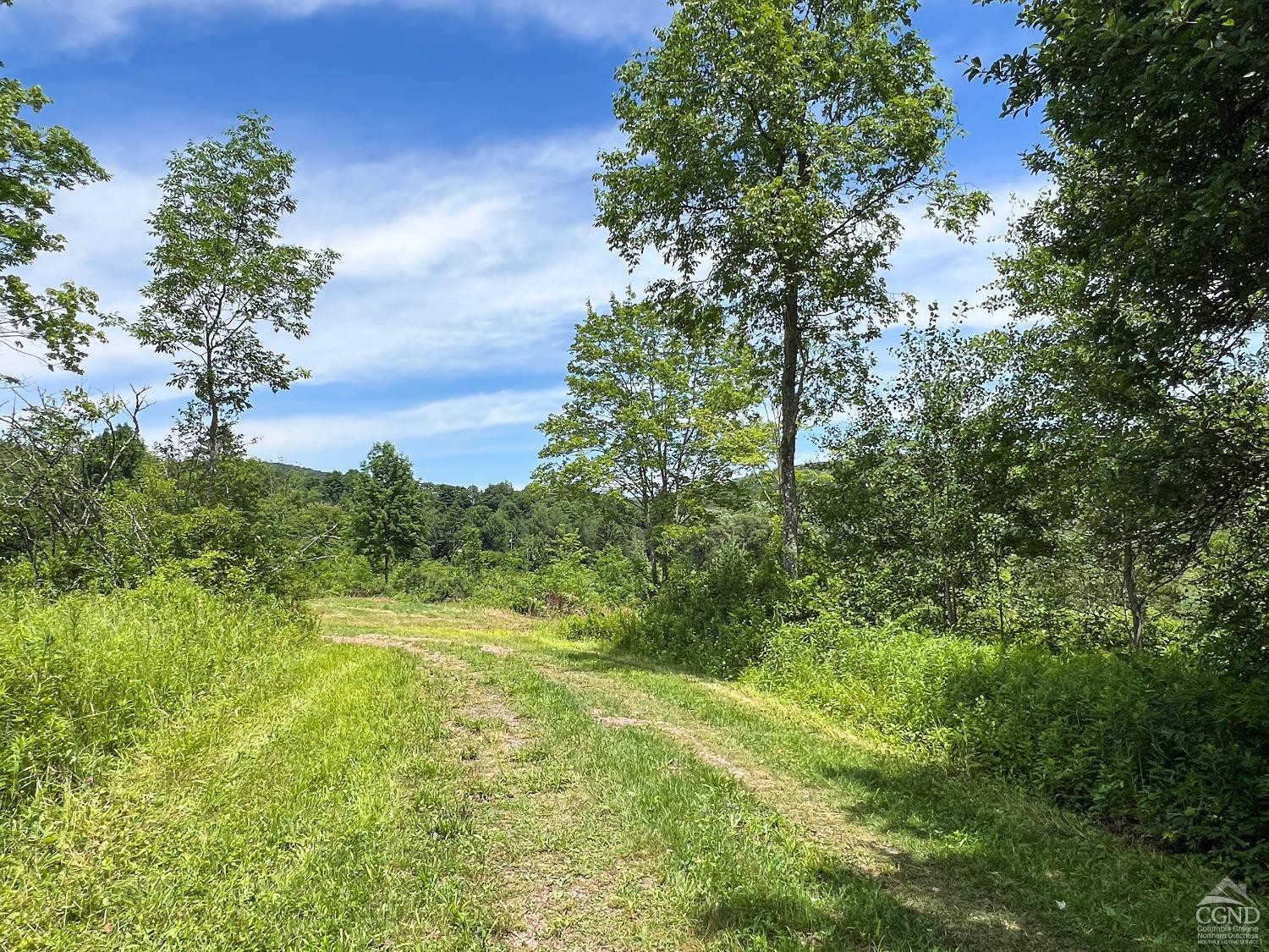 0 Woodland Hills Road Andes, NY 13731 - Photo 17 of 71 Photo 17