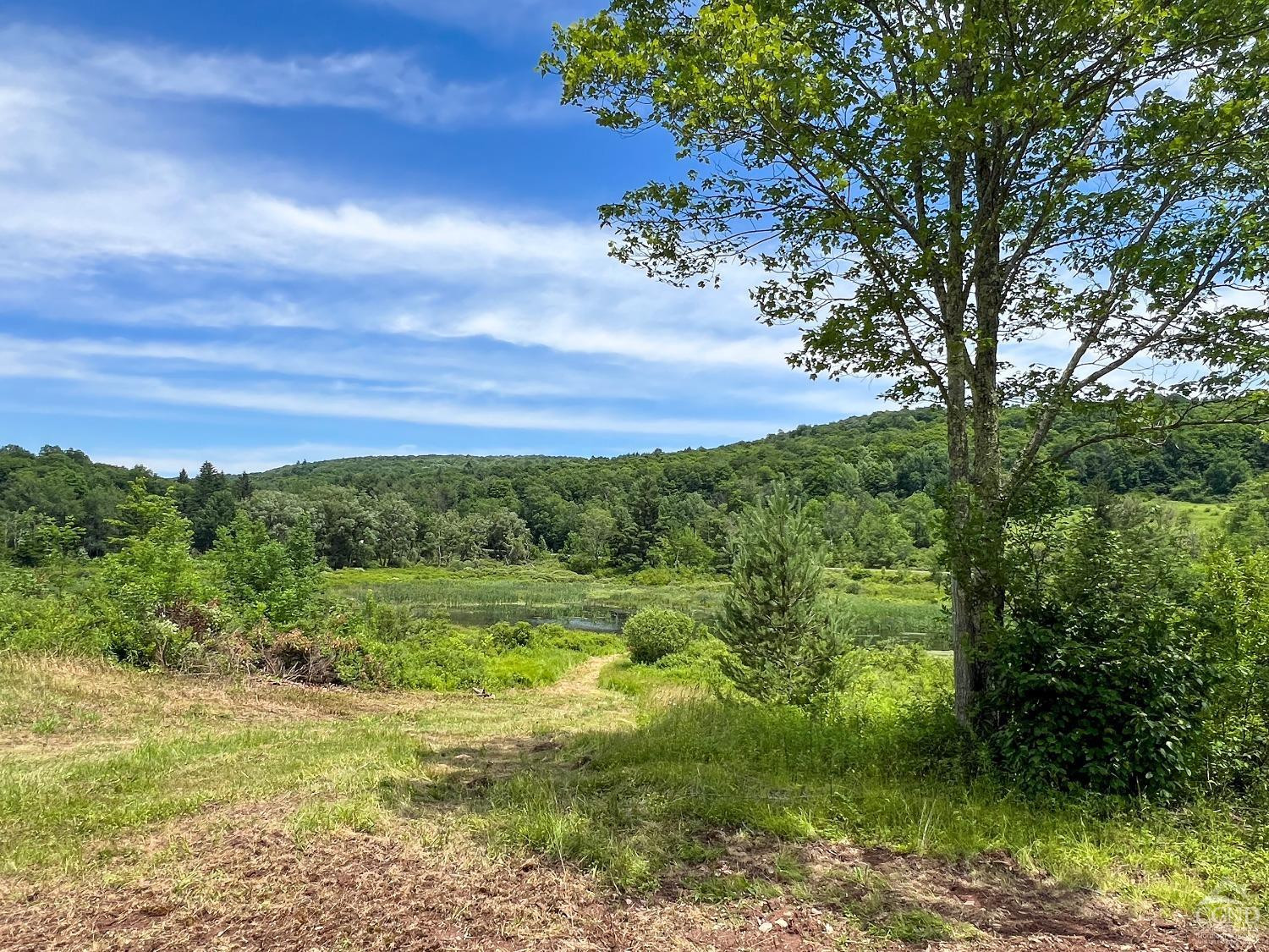0 Woodland Hills Road Andes, NY 13731 - Photo 20 of 71 a view of a yard with an outdoor space