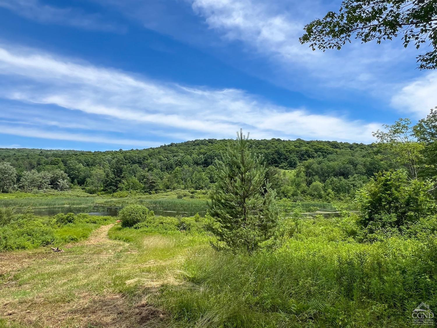 0 Woodland Hills Road Andes, NY 13731 - Photo 21 of 71 a view of a big yard with large trees
