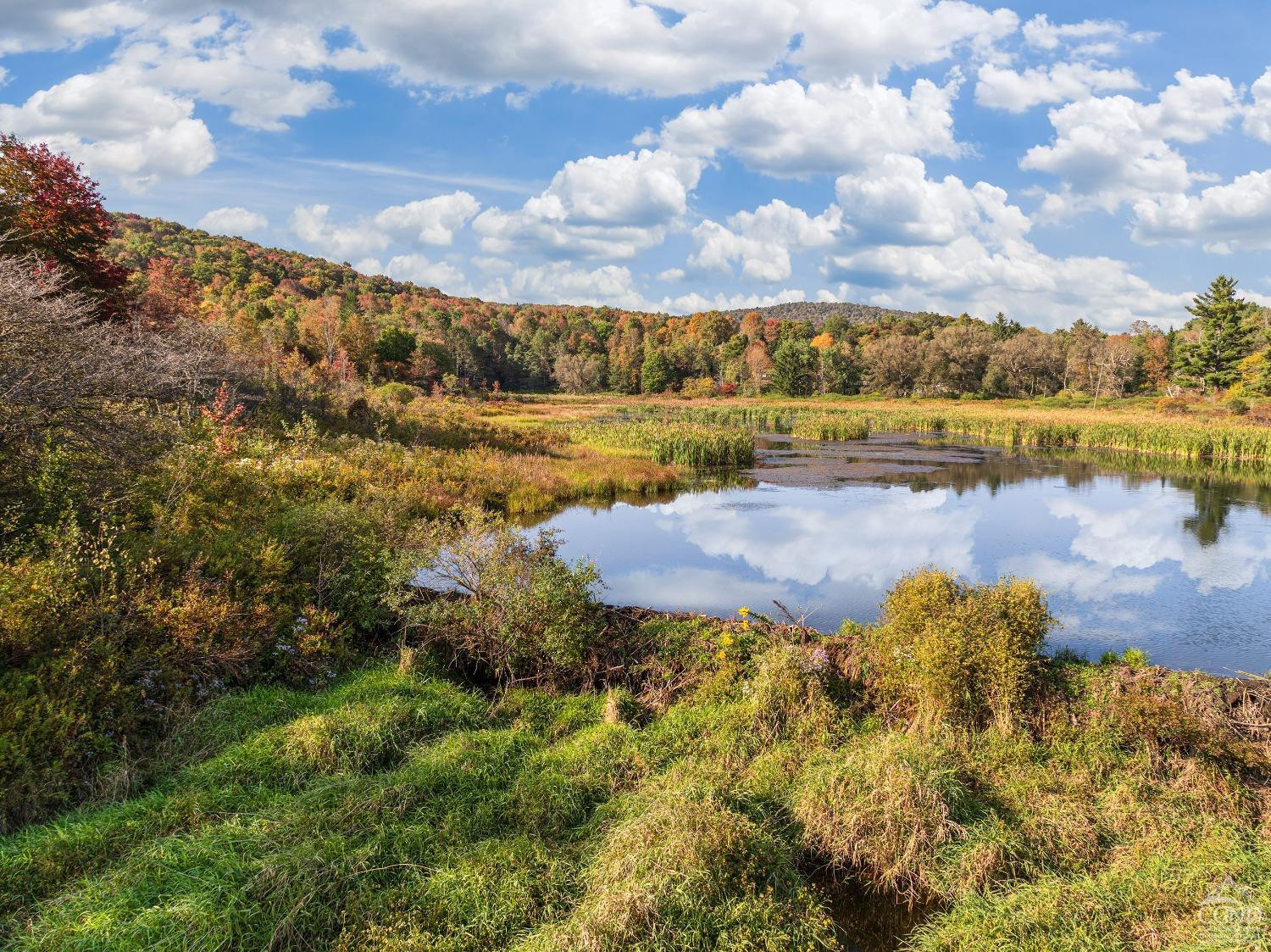 0 Woodland Hills Road Andes, NY 13731 - Photo 22 of 71 a view of a lake