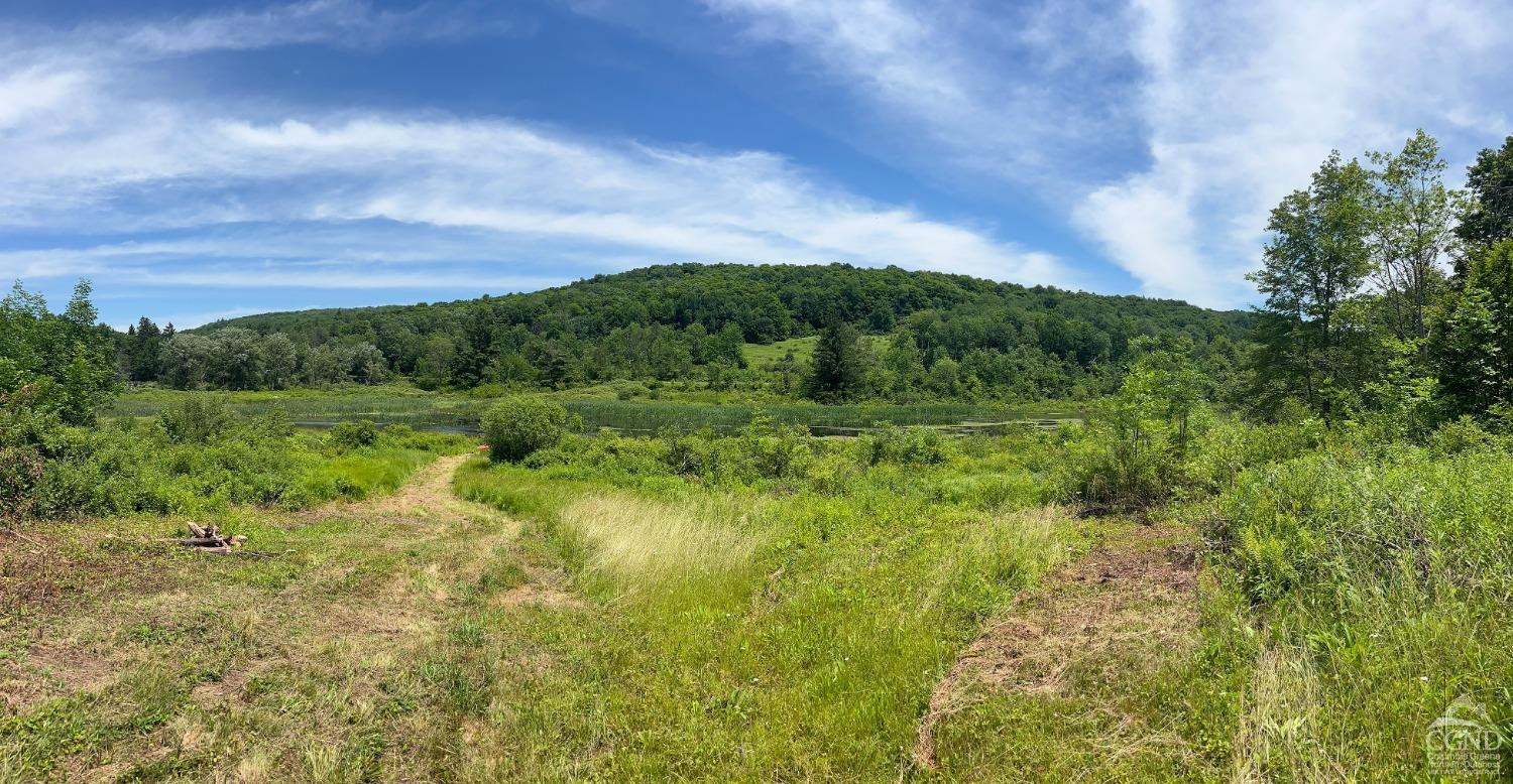 0 Woodland Hills Road Andes, NY 13731 - Photo 24 of 71 a view of a lush green space