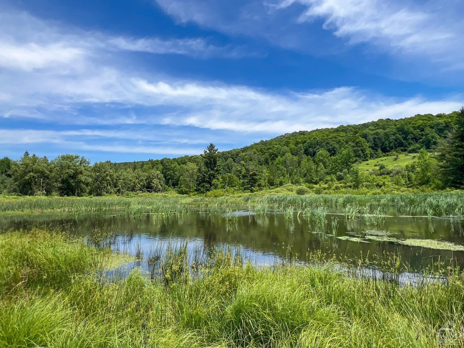 0 Woodland Hills Road Andes, NY 13731 - Photo 25 of 71 a view of a lake with houses in the back