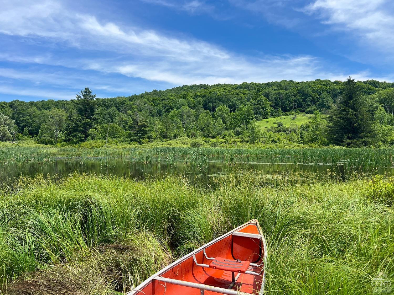 0 Woodland Hills Road Andes, NY 13731 - Photo 26 of 71 a lake view with a yard