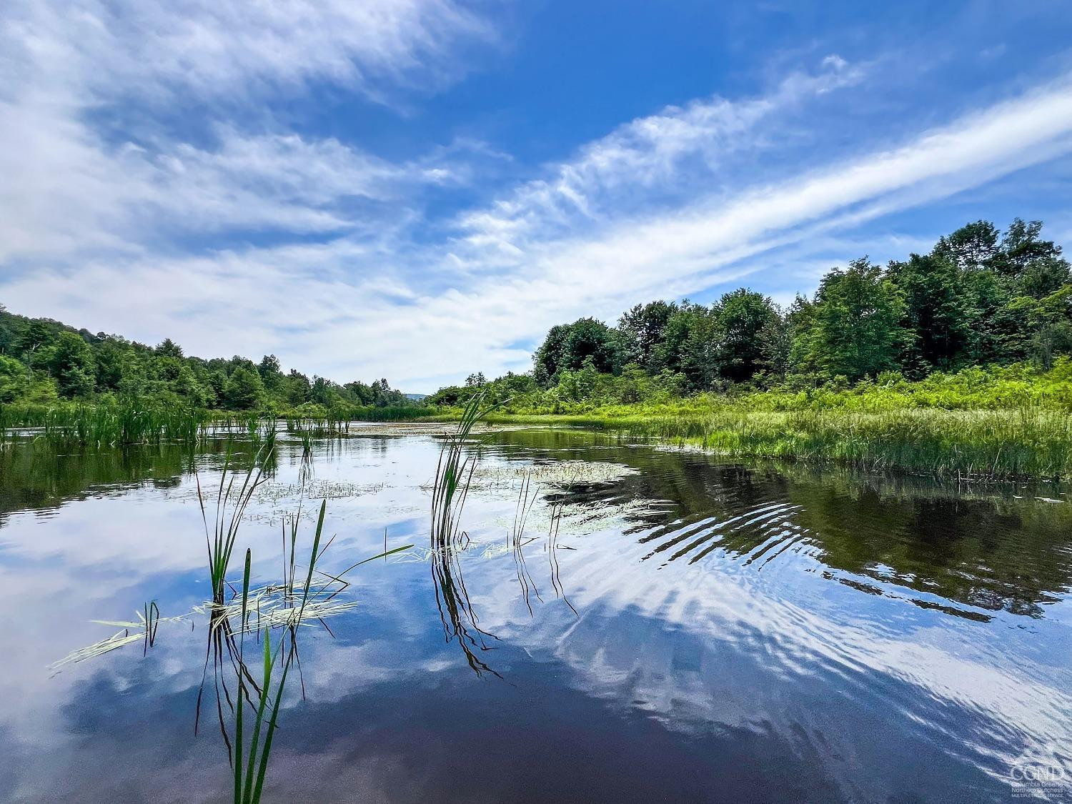 0 Woodland Hills Road Andes, NY 13731 - Photo 29 of 71 a lake view with a wooden fence and lake view