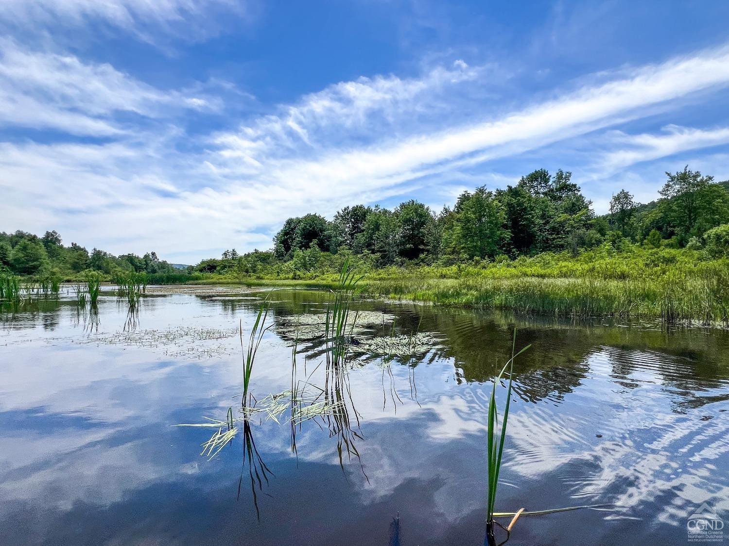 0 Woodland Hills Road Andes, NY 13731 - Photo 30 of 71 Photo 30