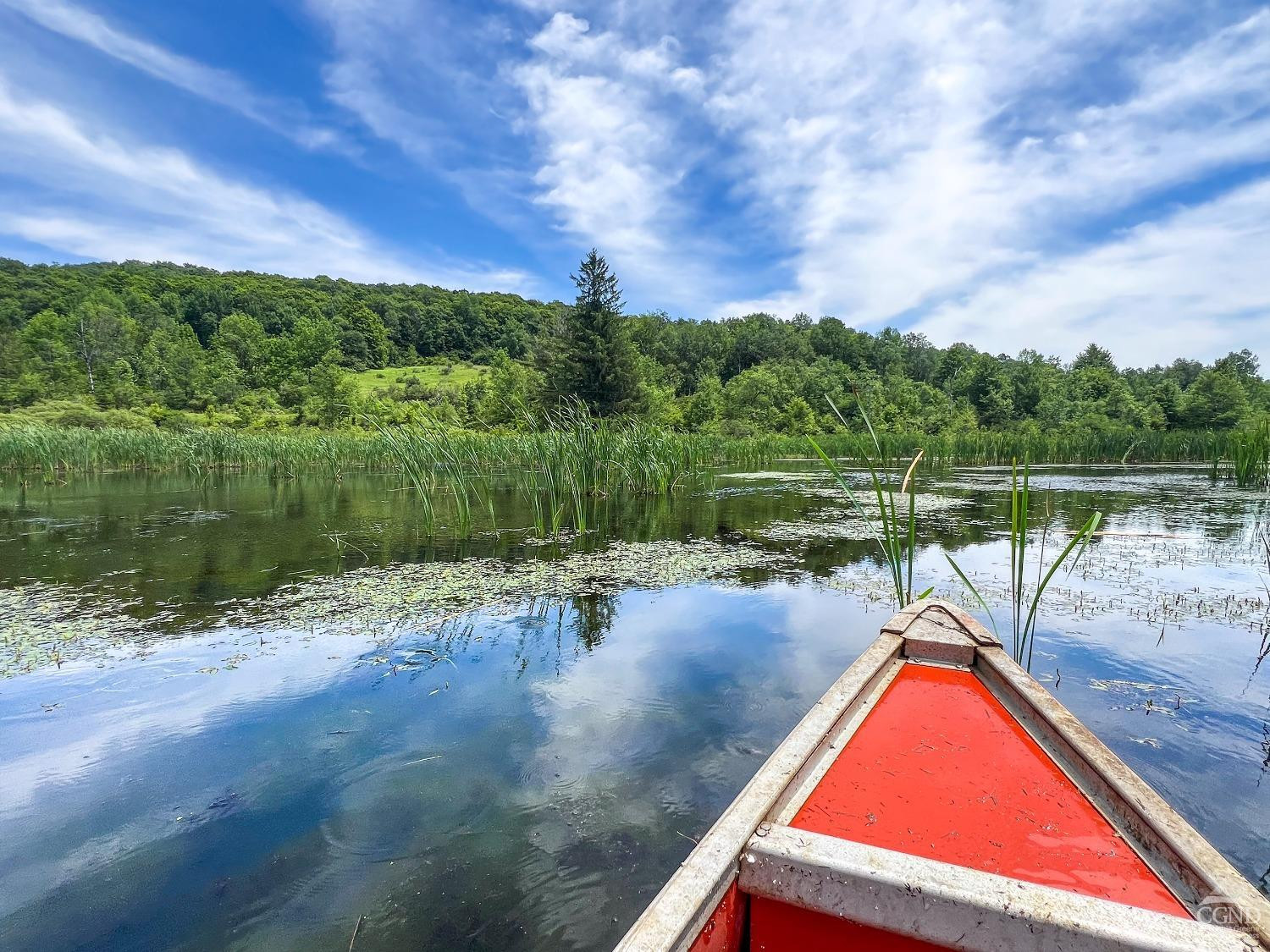 0 Woodland Hills Road Andes, NY 13731 - Photo 31 of 71 a view of a lake with a yard