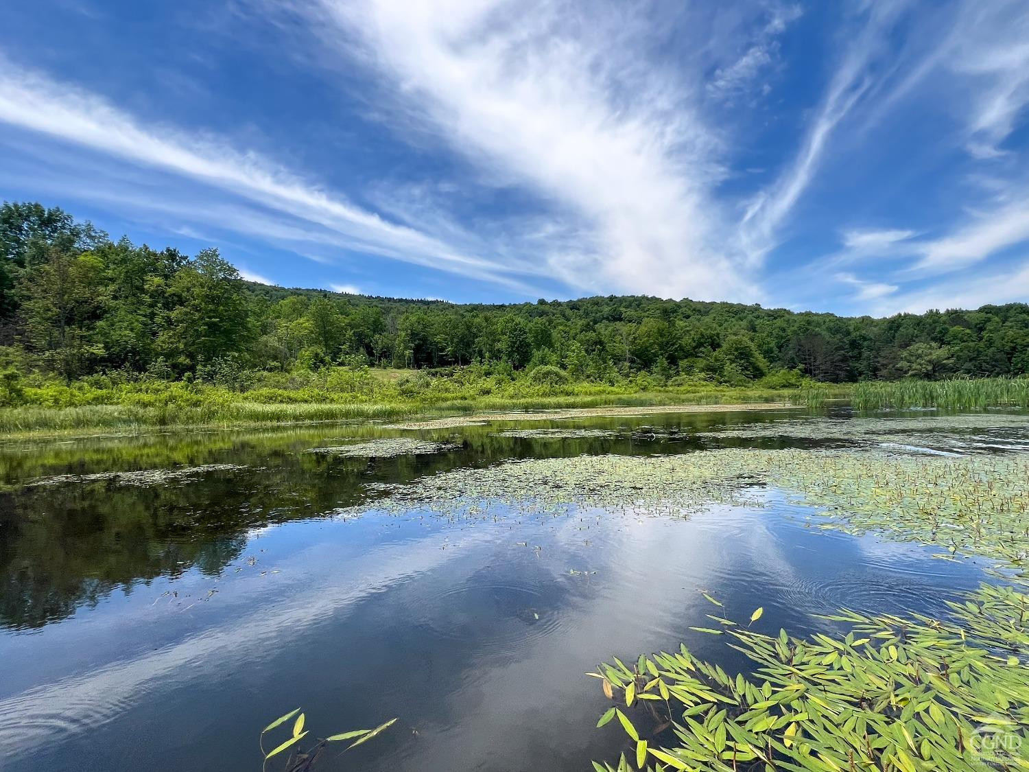 0 Woodland Hills Road Andes, NY 13731 - Photo 33 of 71 a view of a golf course with a lake