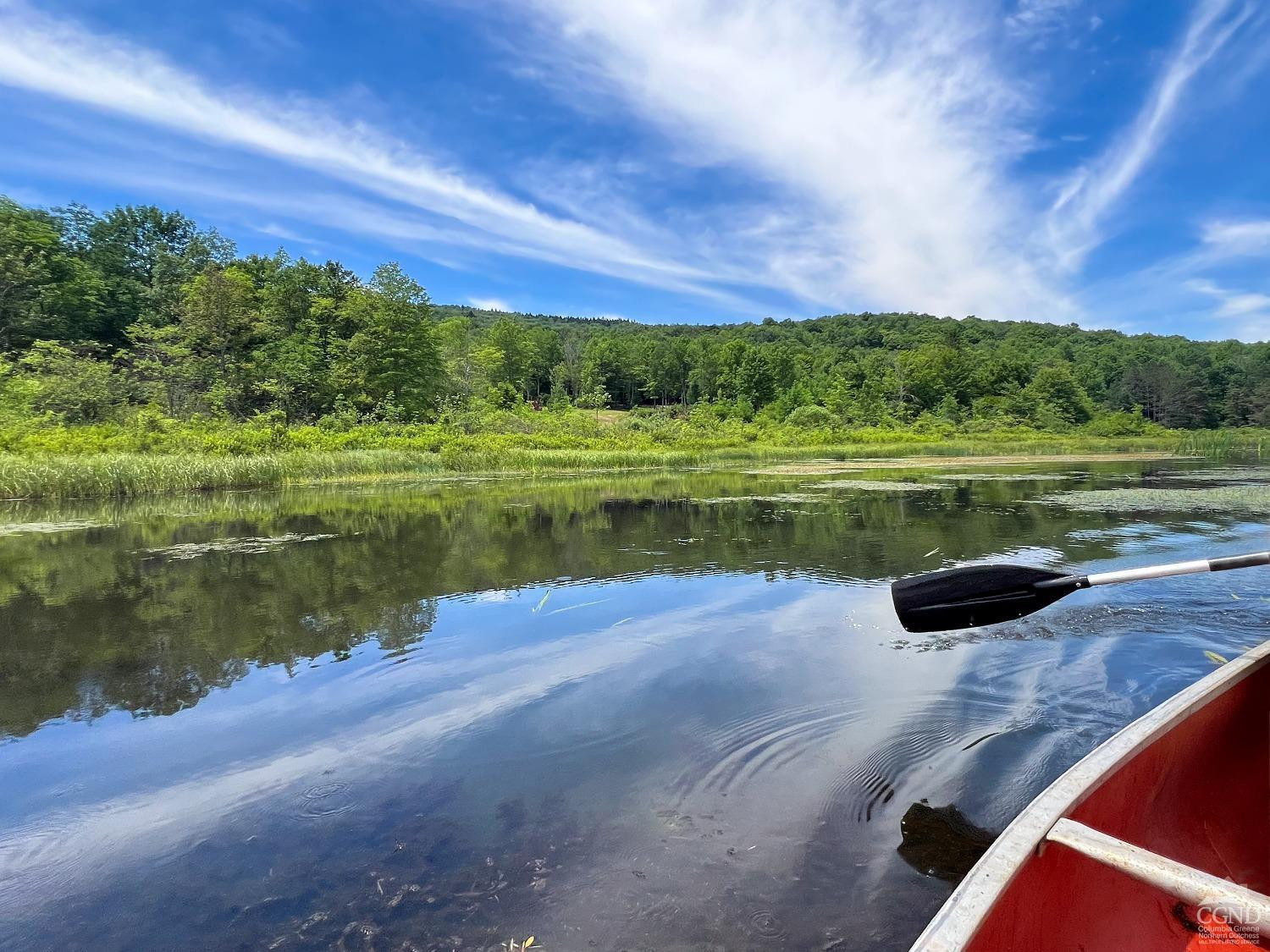 0 Woodland Hills Road Andes, NY 13731 - Photo 34 of 71 a view of a lake with a big yard
