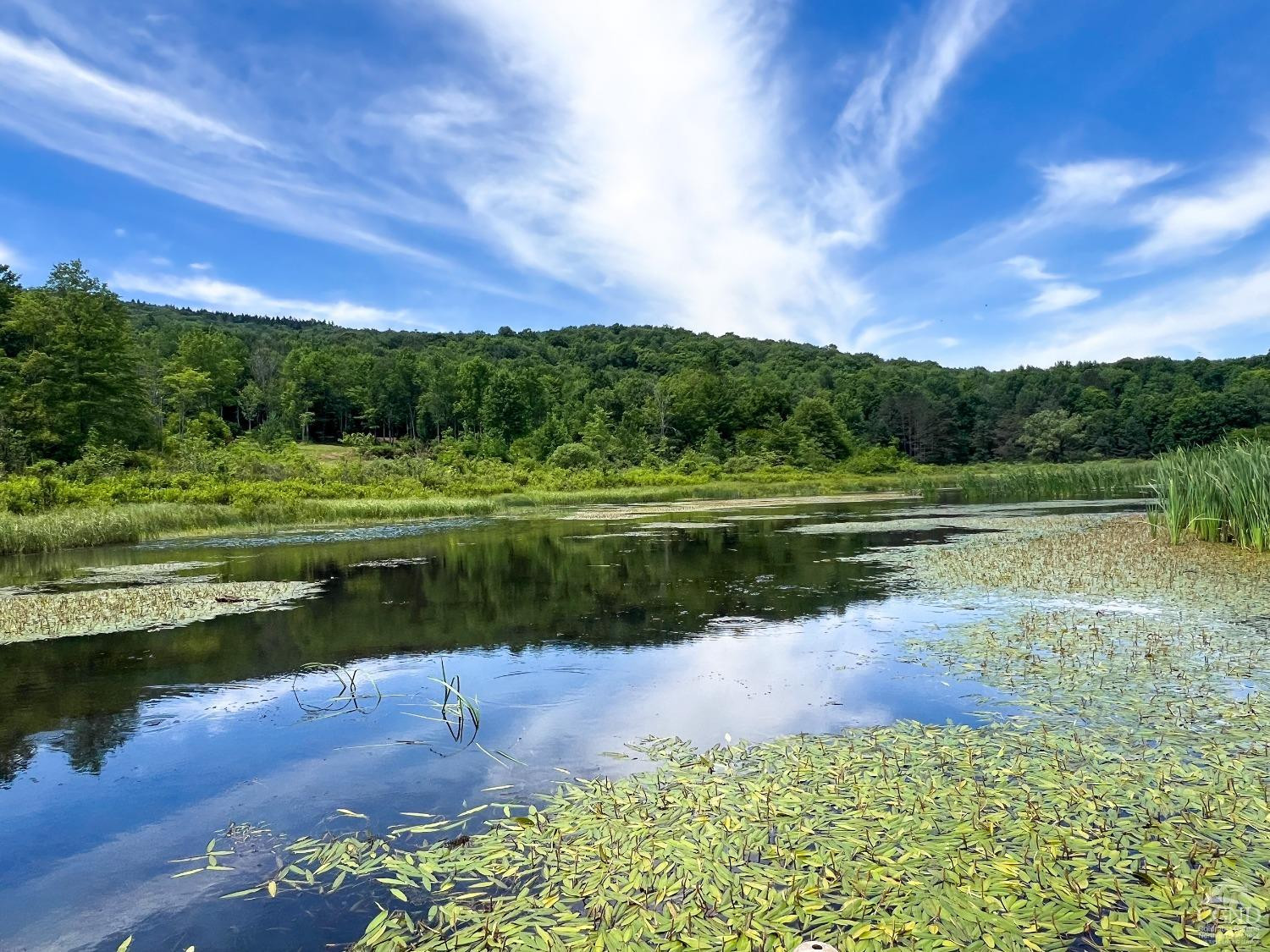 0 Woodland Hills Road Andes, NY 13731 - Photo 35 of 71 a view of a lake with a yard