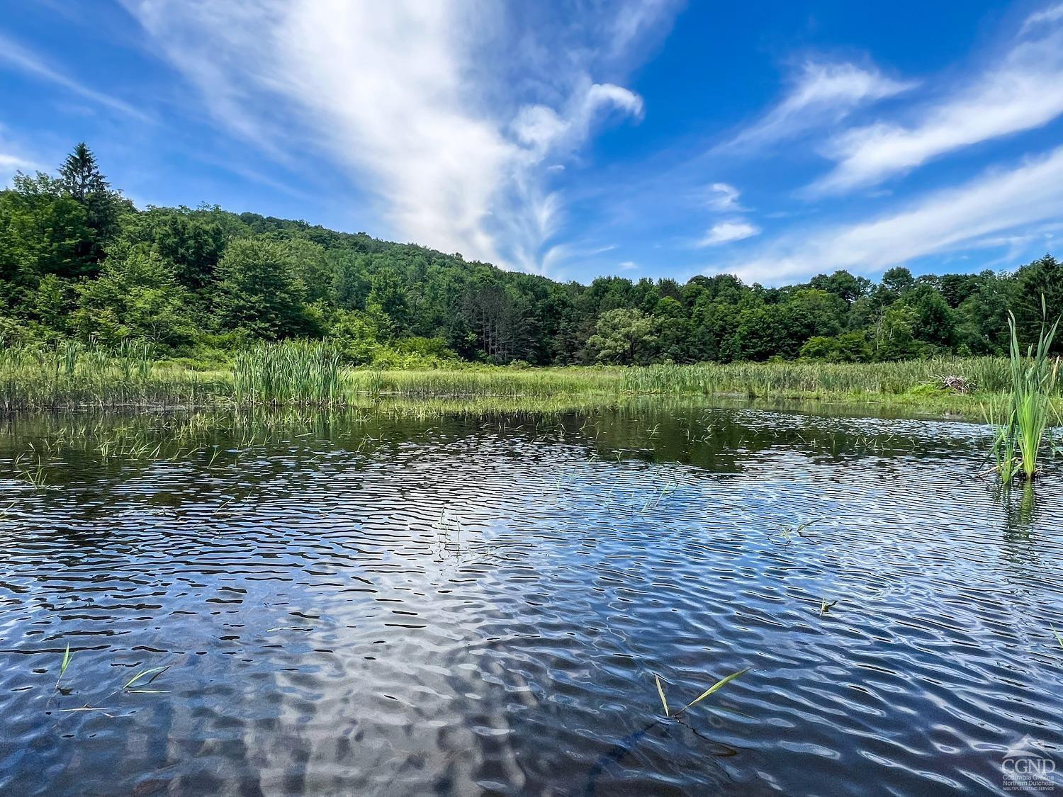 0 Woodland Hills Road Andes, NY 13731 - Photo 36 of 71 Photo 36