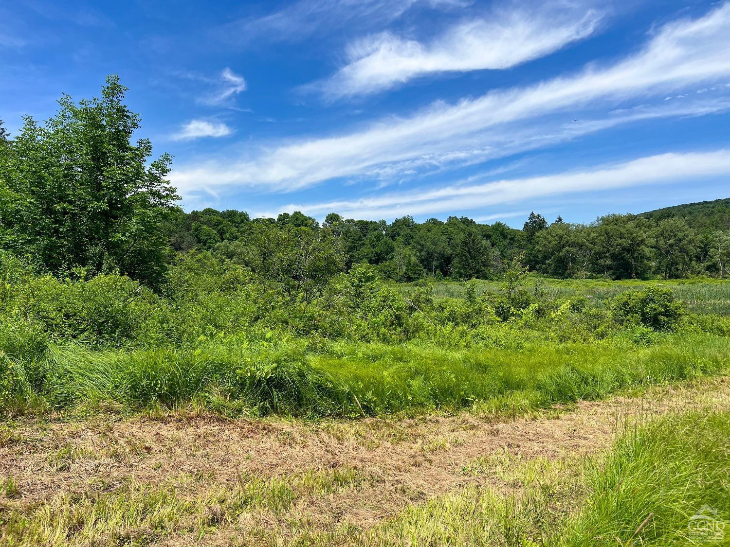 0 Woodland Hills Road Andes, NY 13731 - Photo 37 of 71 a view of a pathway with a yard