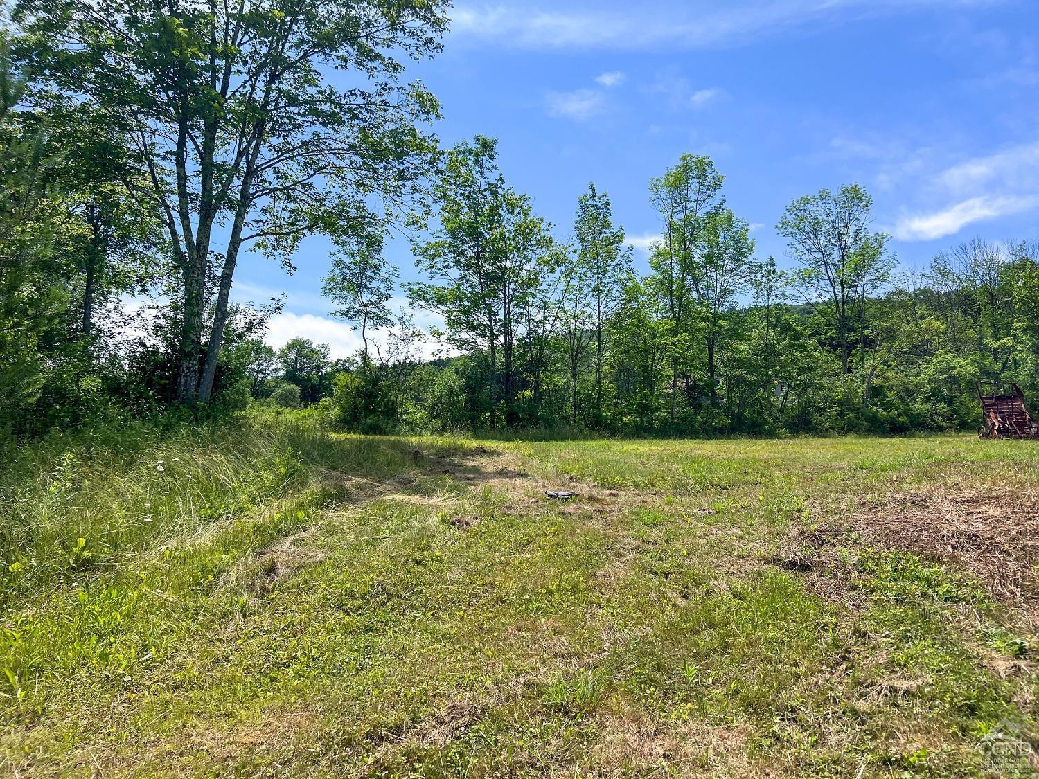 0 Woodland Hills Road Andes, NY 13731 - Photo 38 of 71 Photo 38