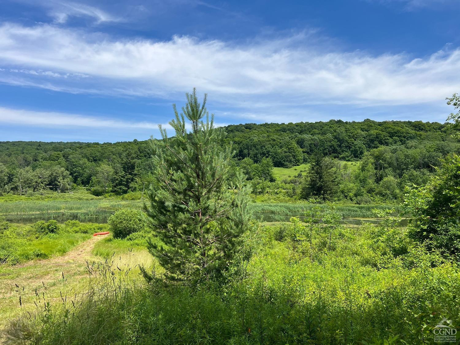 0 Woodland Hills Road Andes, NY 13731 - Photo 39 of 71 a view of a big yard with plants and a garden