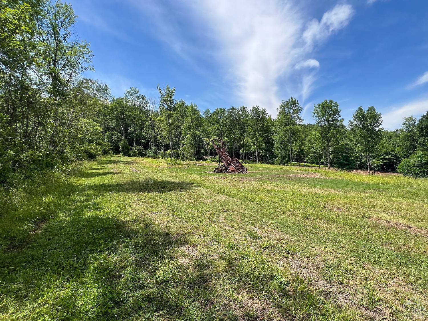0 Woodland Hills Road Andes, NY 13731 - Photo 40 of 71 a view of a field with trees in the background