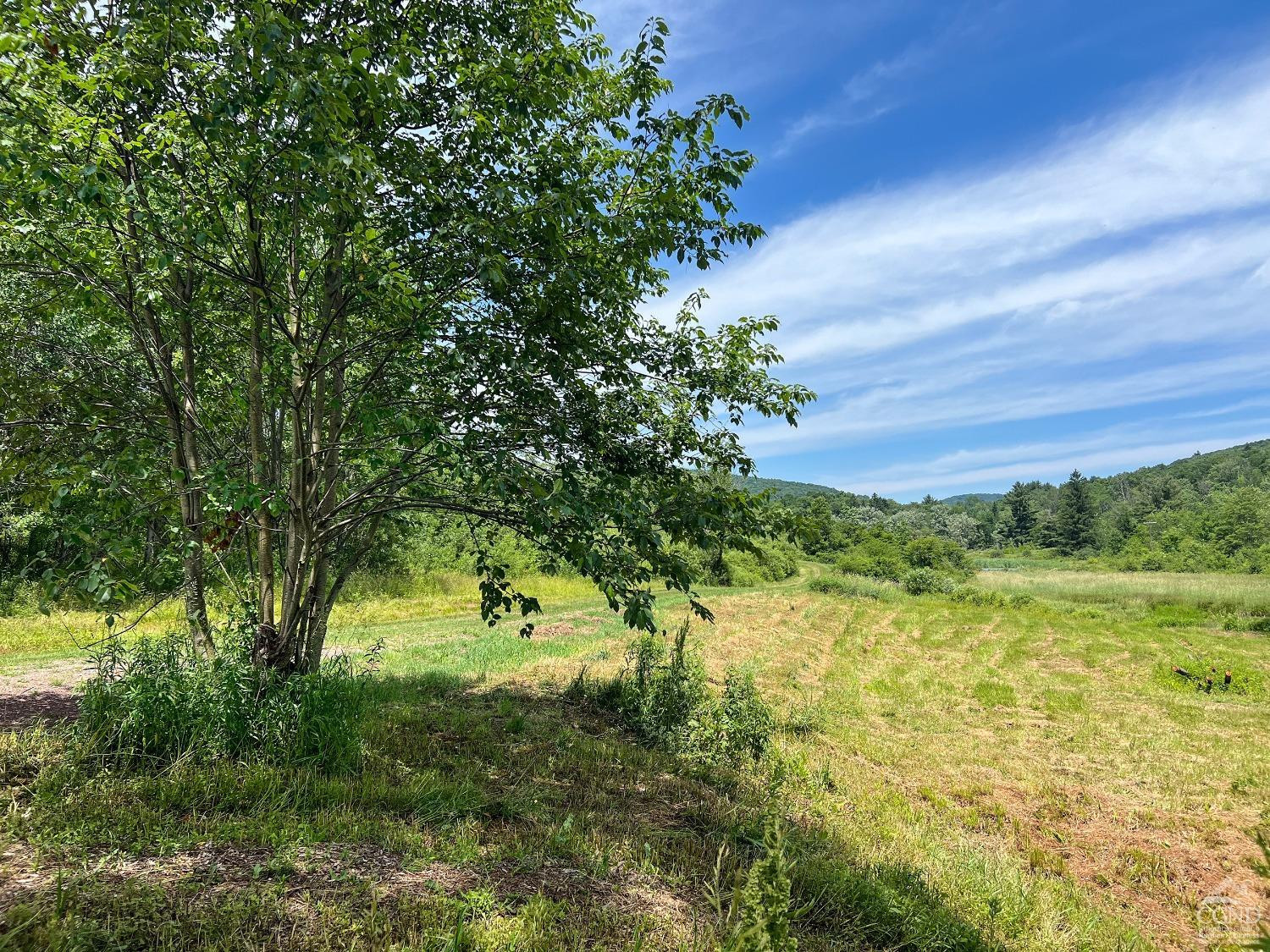 0 Woodland Hills Road Andes, NY 13731 - Photo 4 of 71 Photo 4