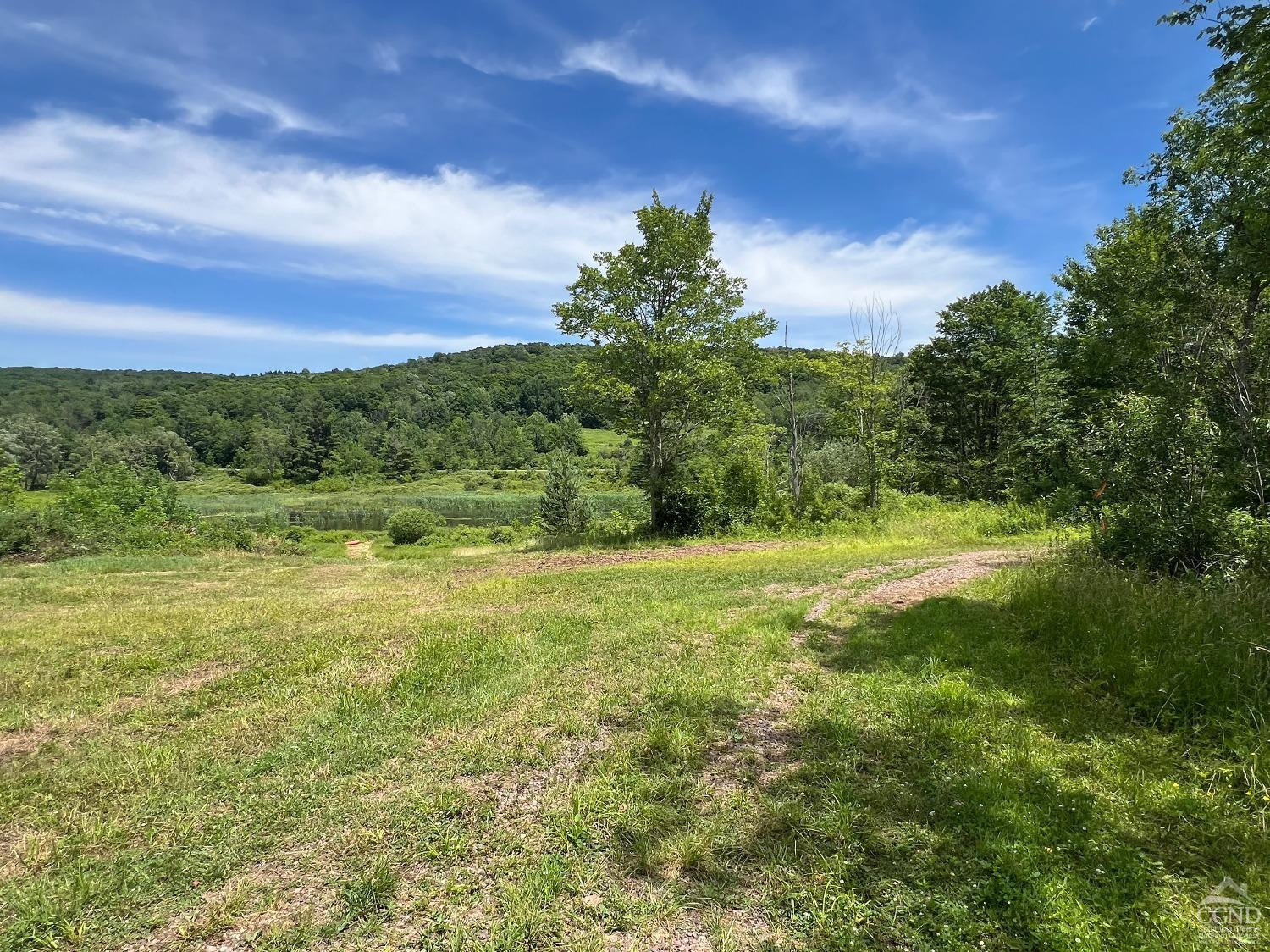 0 Woodland Hills Road Andes, NY 13731 - Photo 41 of 71 a view of outdoor space and yard