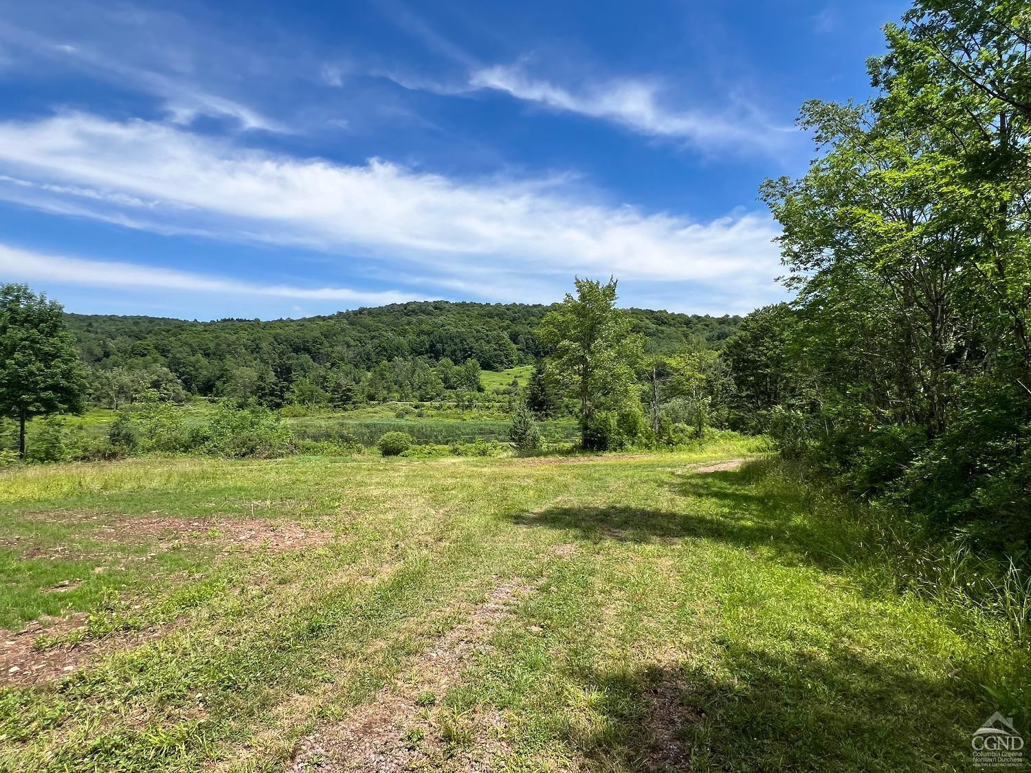 0 Woodland Hills Road Andes, NY 13731 - Photo 42 of 71 a view of a big yard with lots of green space