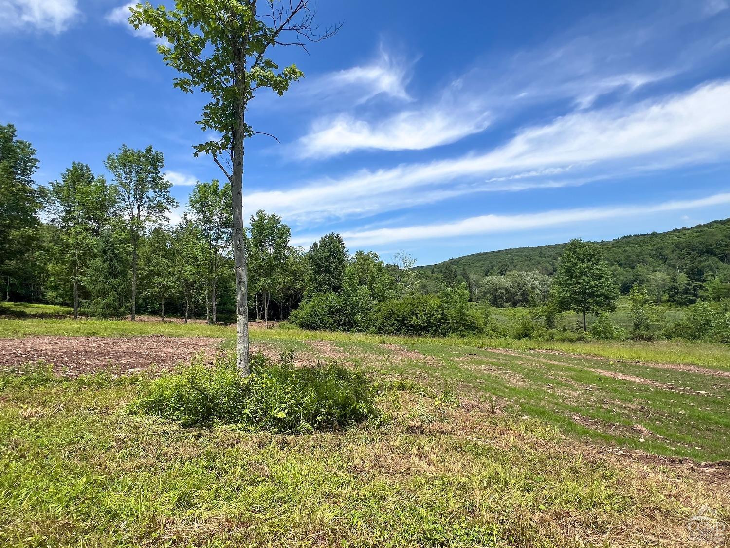 0 Woodland Hills Road Andes, NY 13731 - Photo 43 of 71 a view of a field with trees in the background