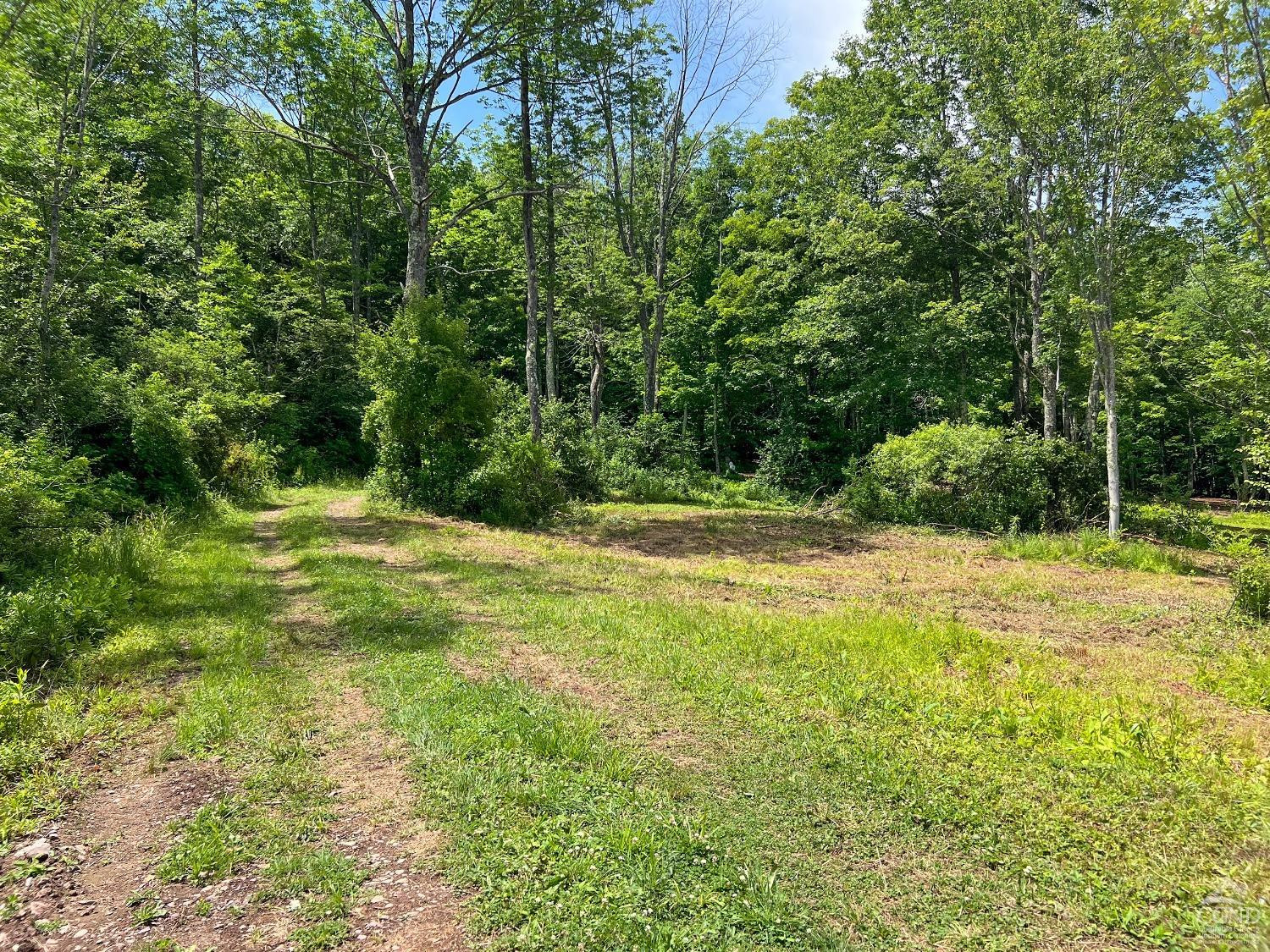 0 Woodland Hills Road Andes, NY 13731 - Photo 44 of 71 a view of outdoor space with deck and yard
