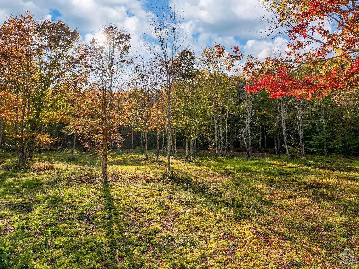 0 Woodland Hills Road Andes, NY 13731 - Photo 45 of 71 Photo 45