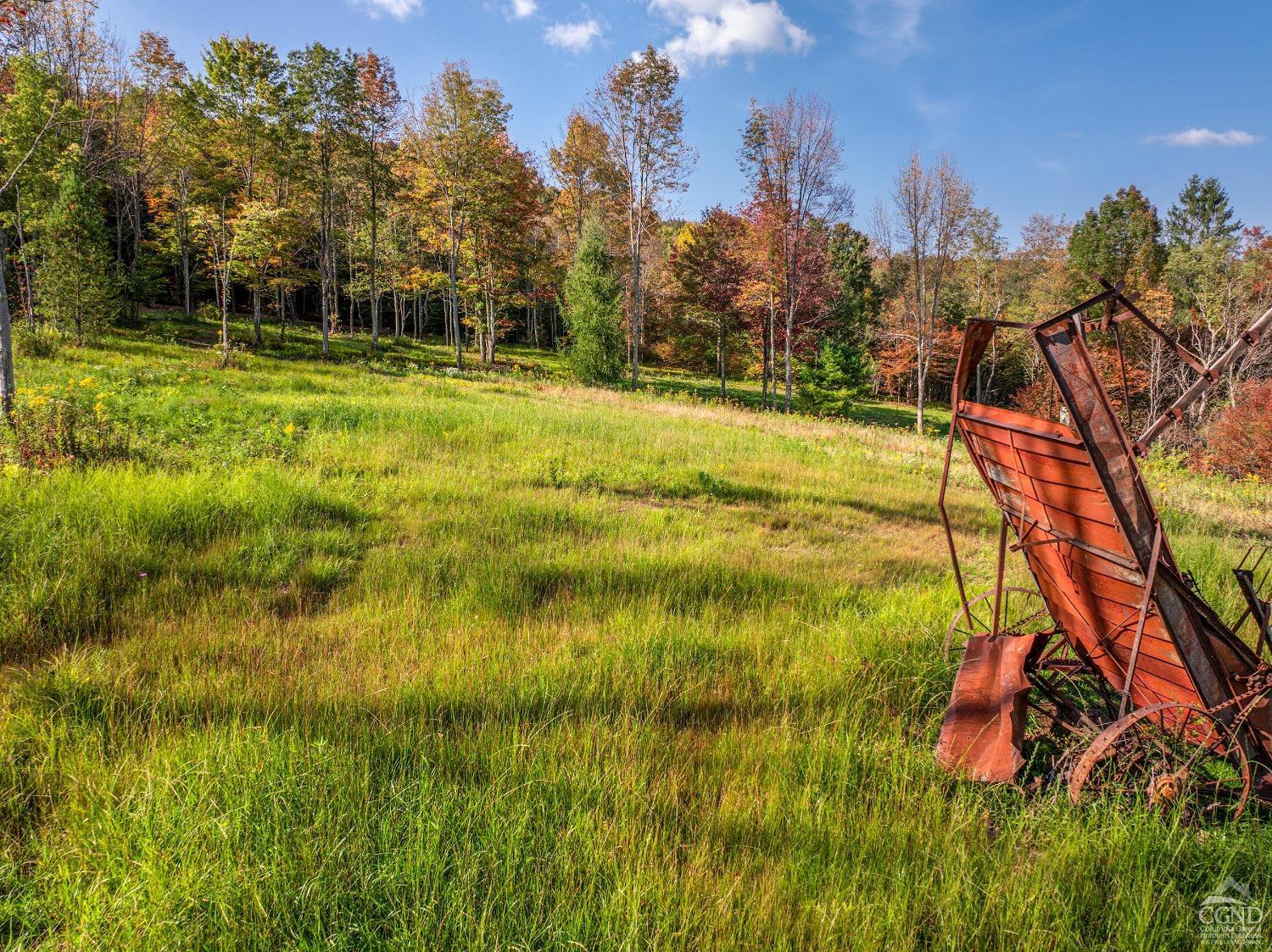 0 Woodland Hills Road Andes, NY 13731 - Photo 46 of 71 a view of a yard with a house in the background