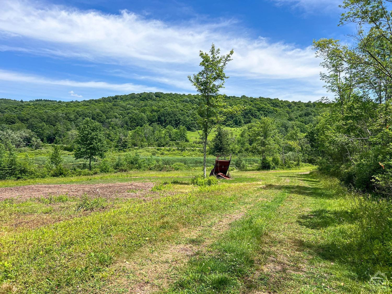 0 Woodland Hills Road Andes, NY 13731 - Photo 47 of 71 Photo 47