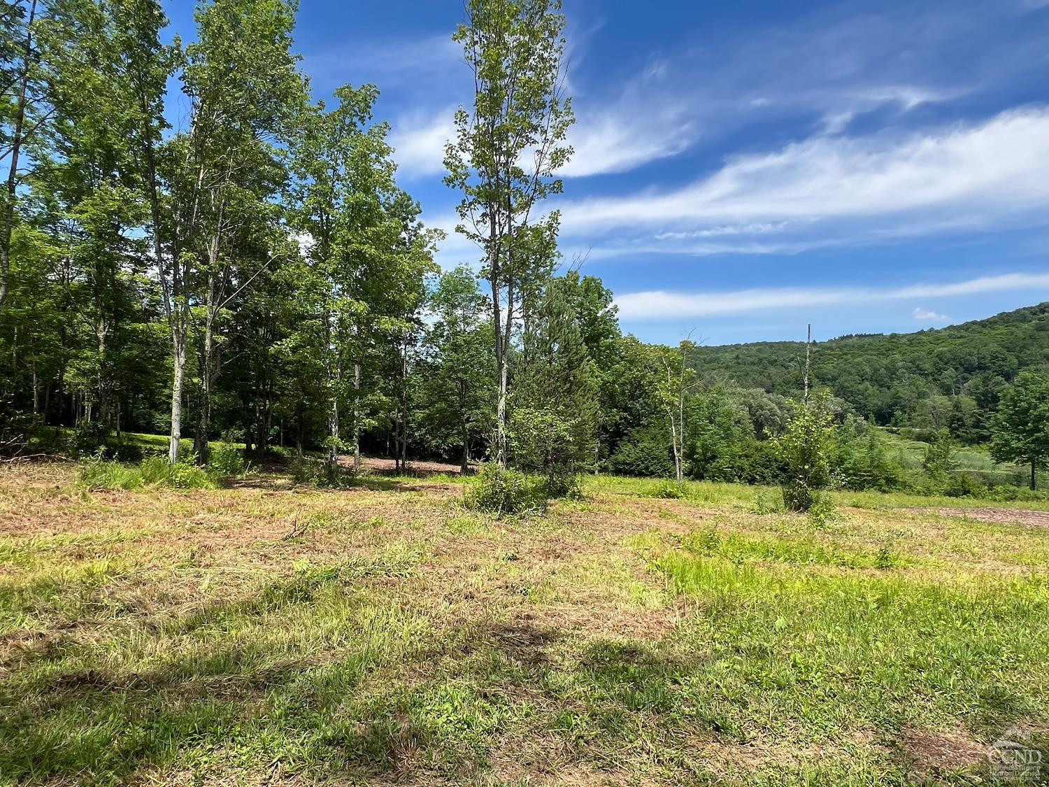 0 Woodland Hills Road Andes, NY 13731 - Photo 48 of 71 Photo 48