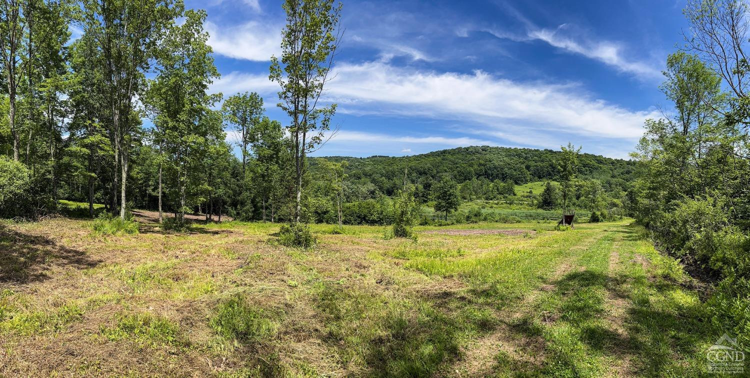 0 Woodland Hills Road Andes, NY 13731 - Photo 49 of 71 a view of a yard with a house