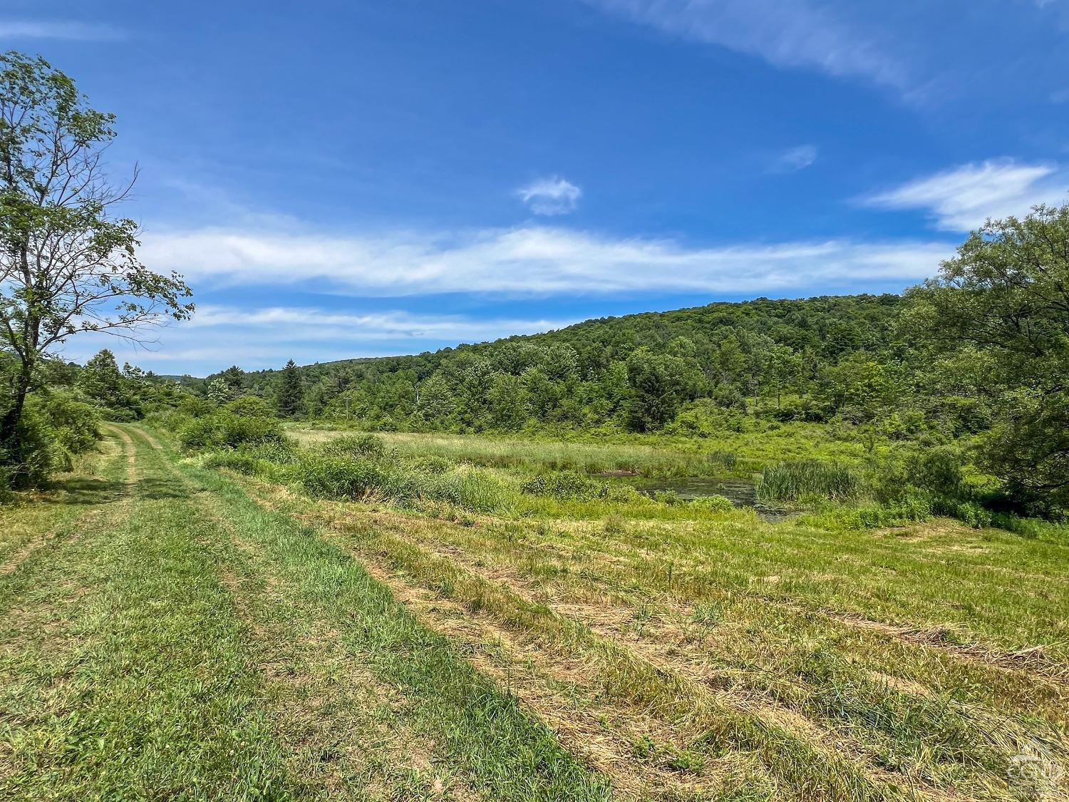 0 Woodland Hills Road Andes, NY 13731 - Photo 5 of 71 Photo 5