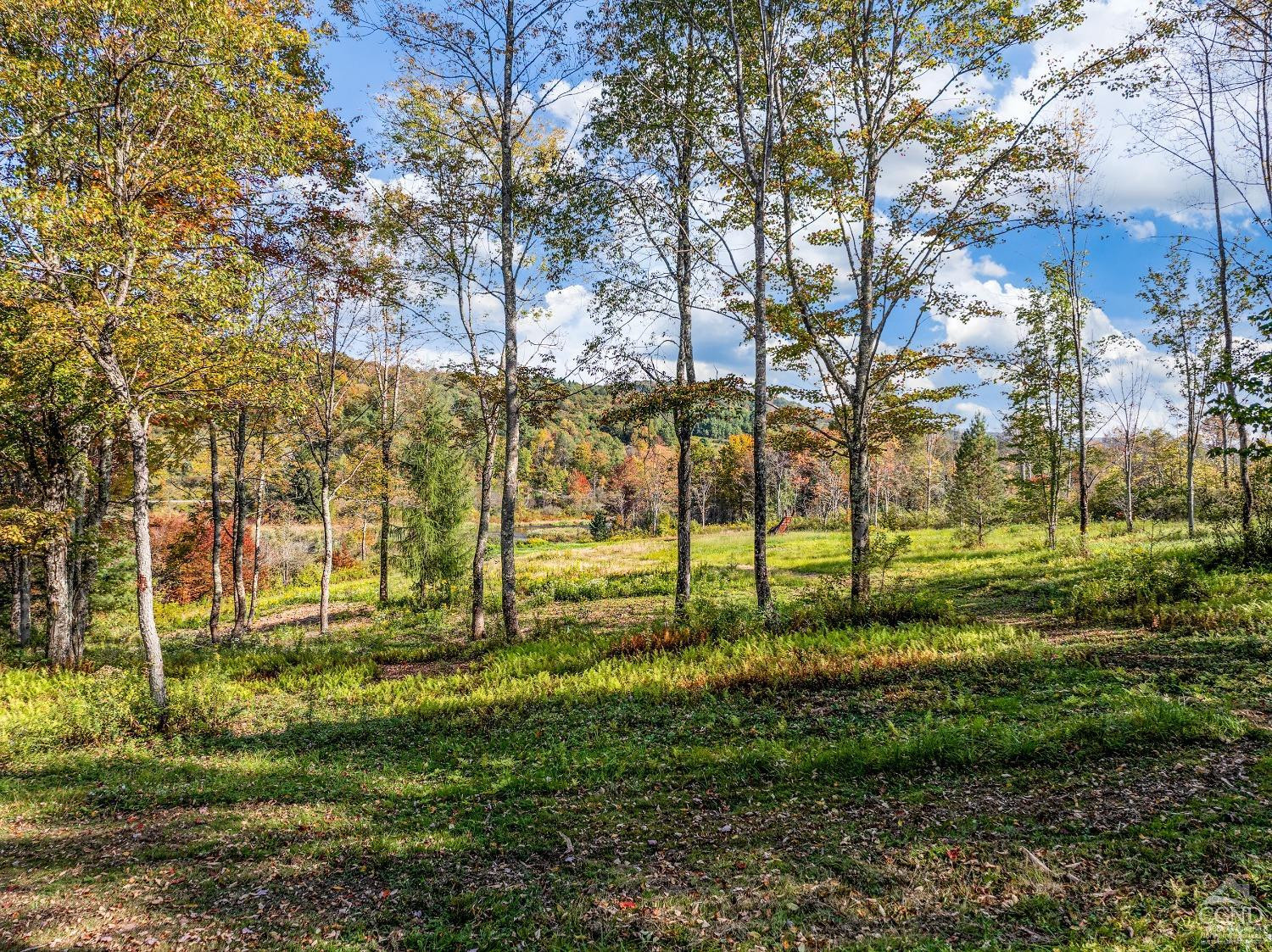 0 Woodland Hills Road Andes, NY 13731 - Photo 51 of 71 Photo 51